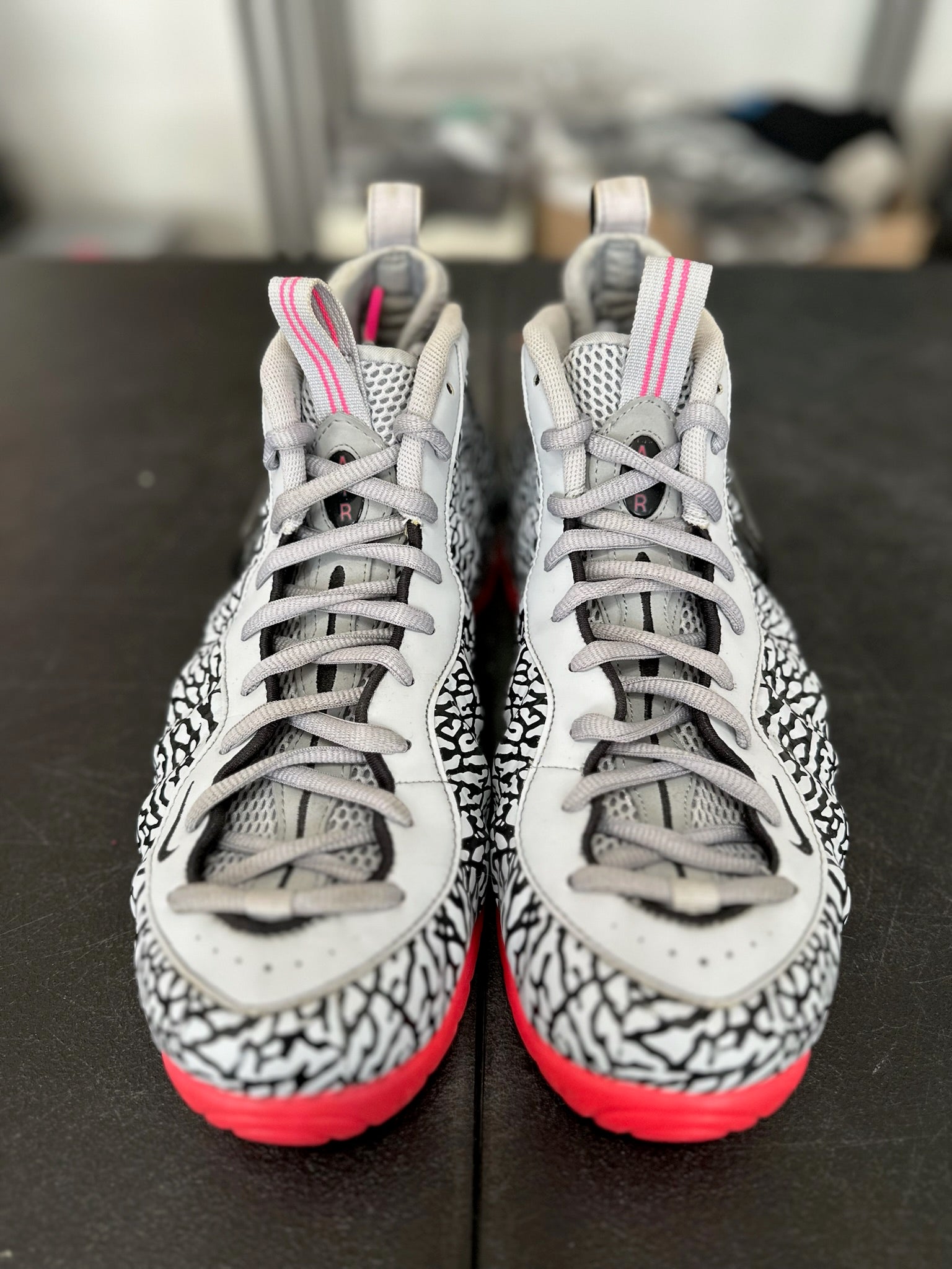 Size 12 - Foamposite Pro Elephant Print