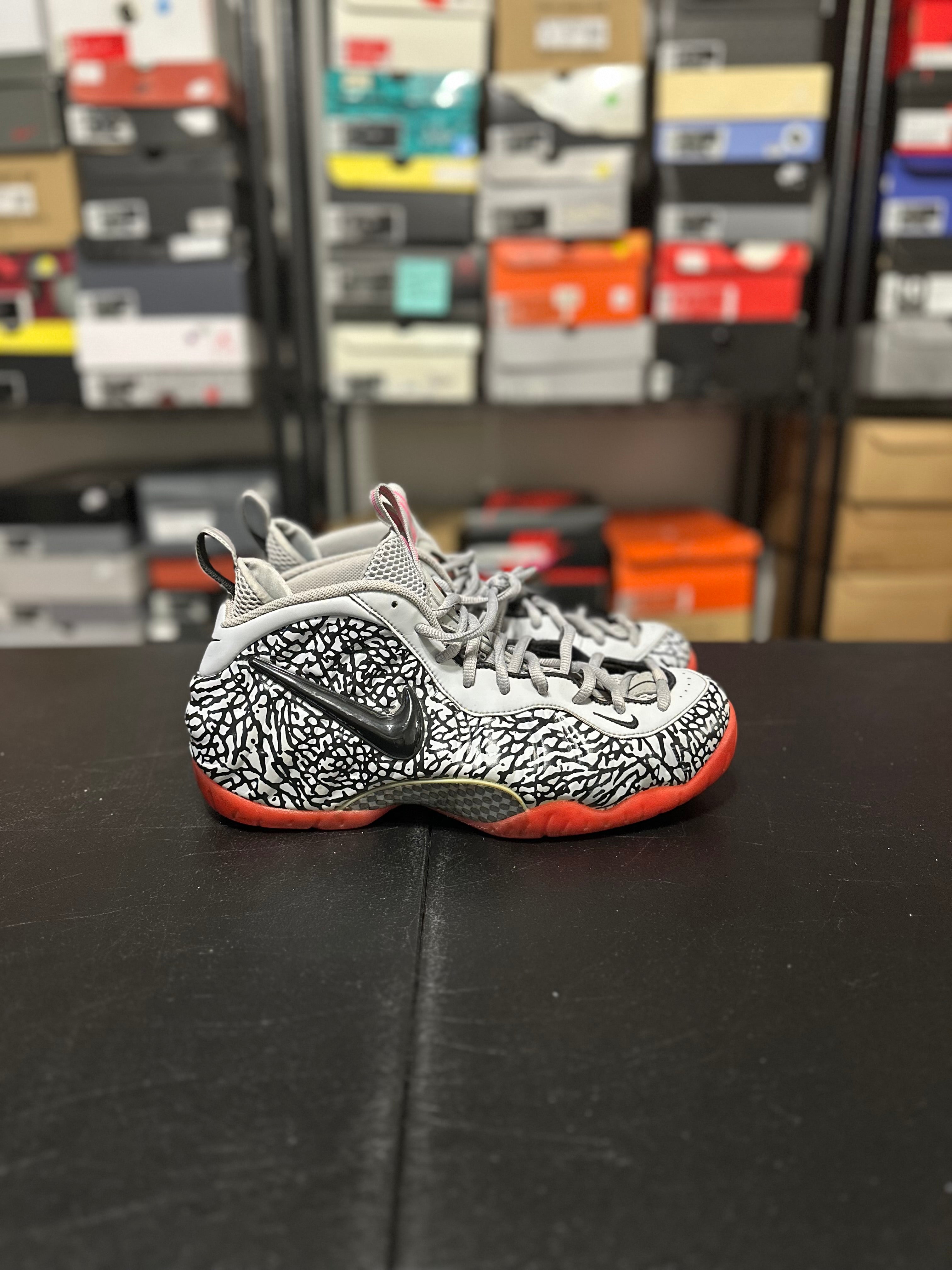 Size 12 - Foamposite pink elephant