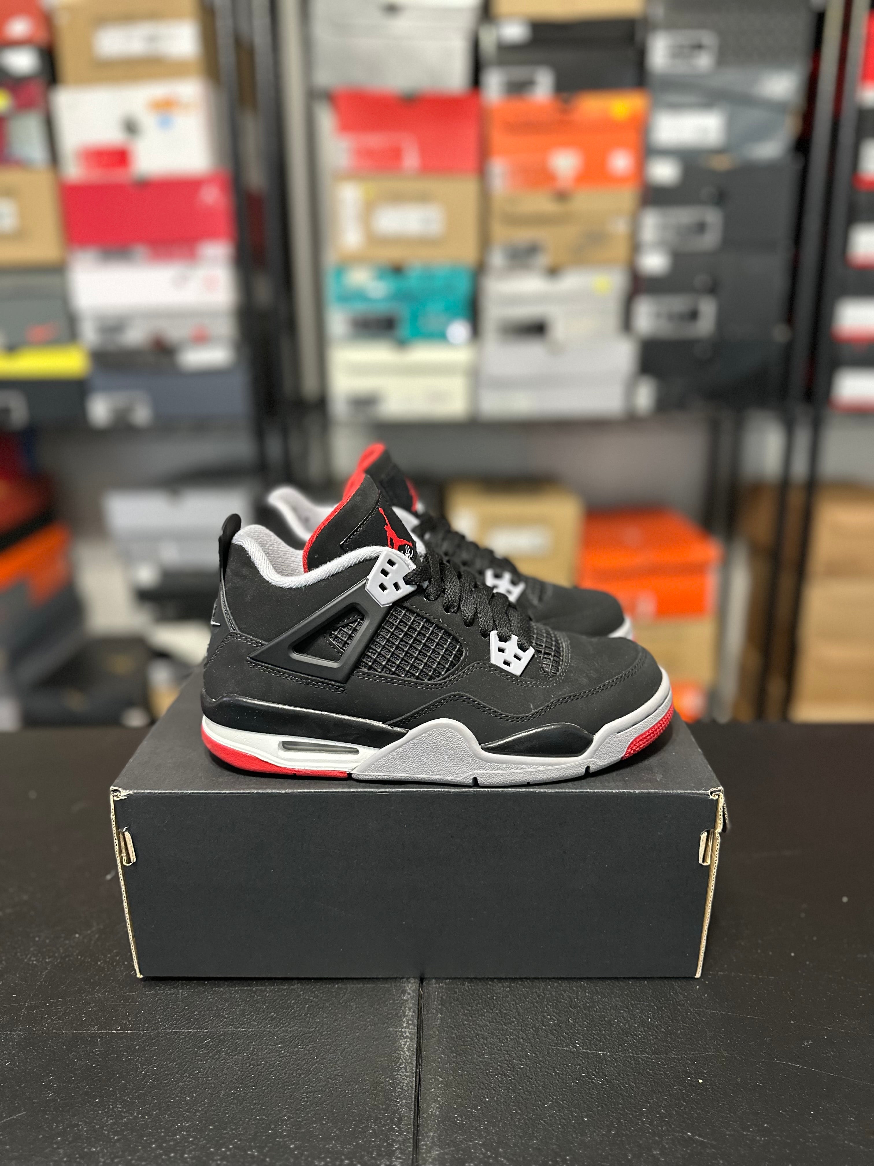 Size 5y - J4 bred 2019