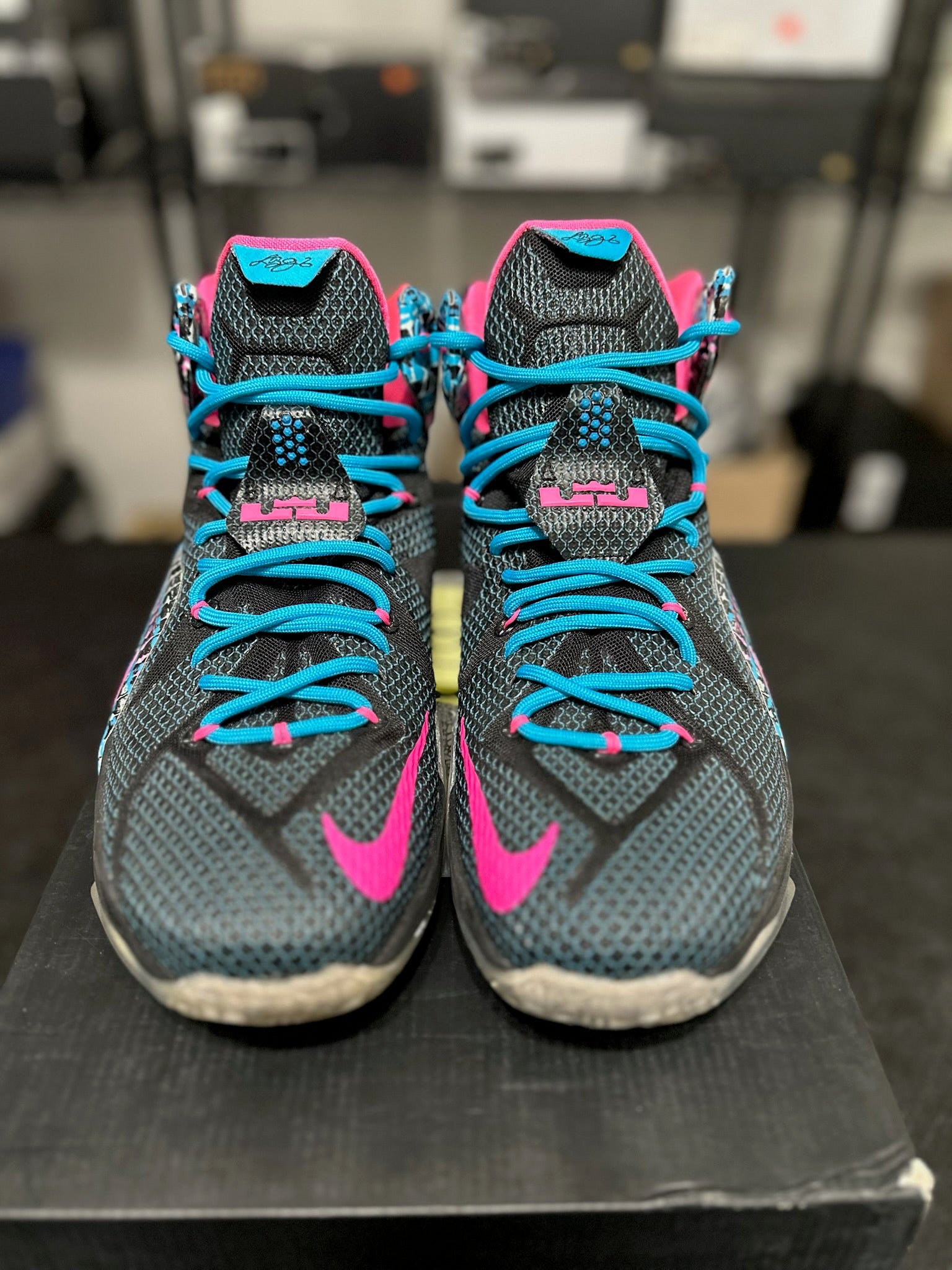 Size 11 - LeBron 12 23 Chromosomes