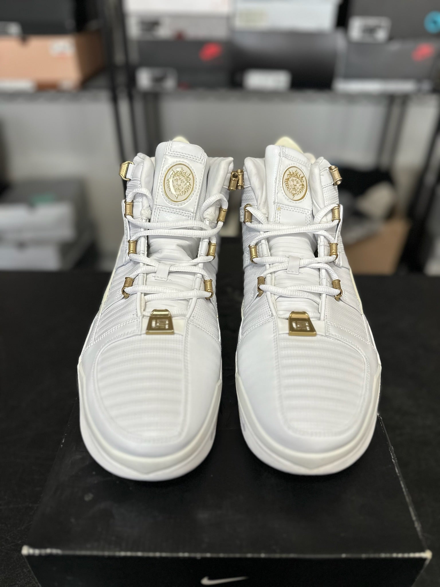 Size 13 - LeBron 3 West Coast