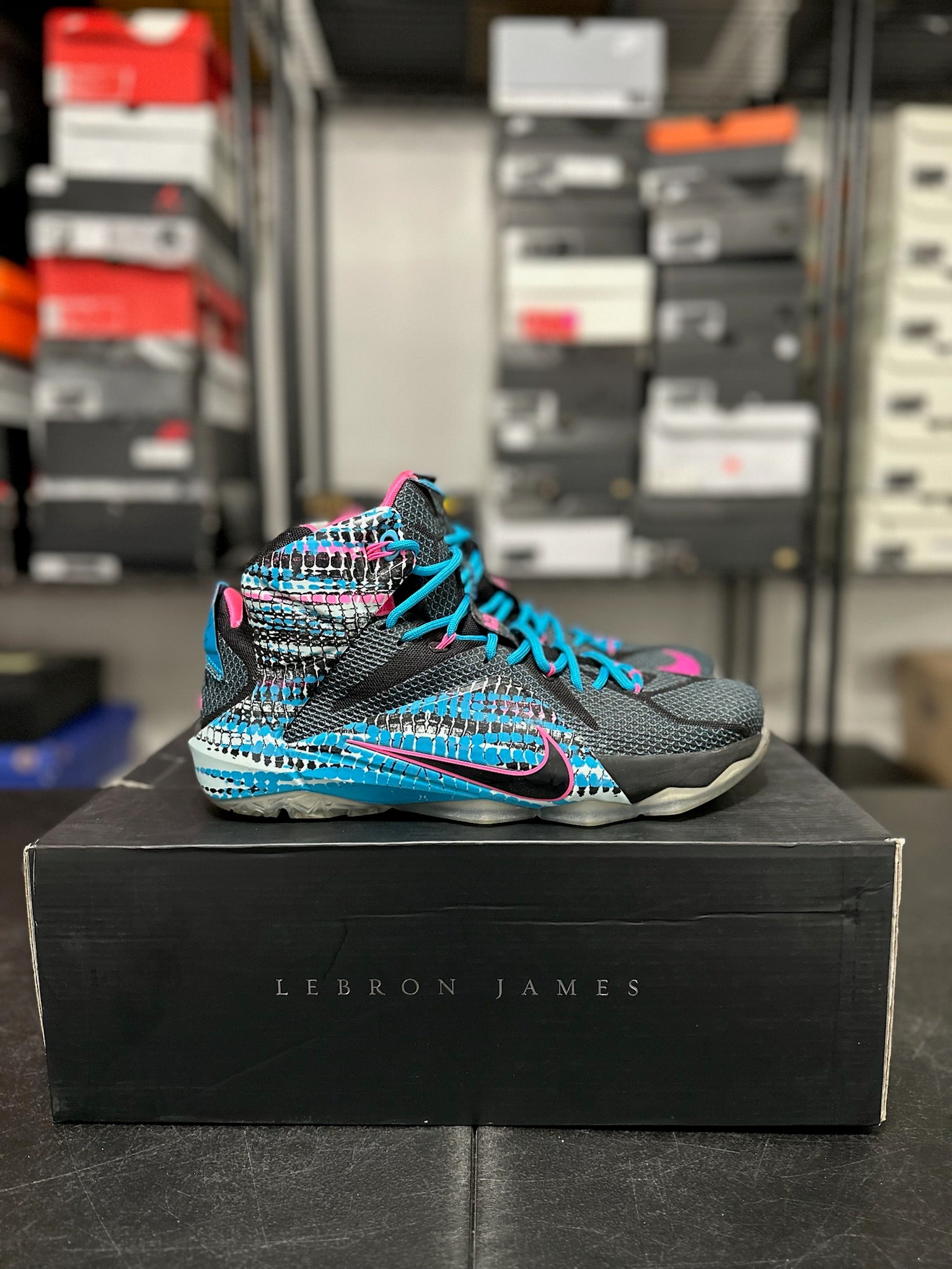 Size 11 - LeBron 12 23 Chromosomes