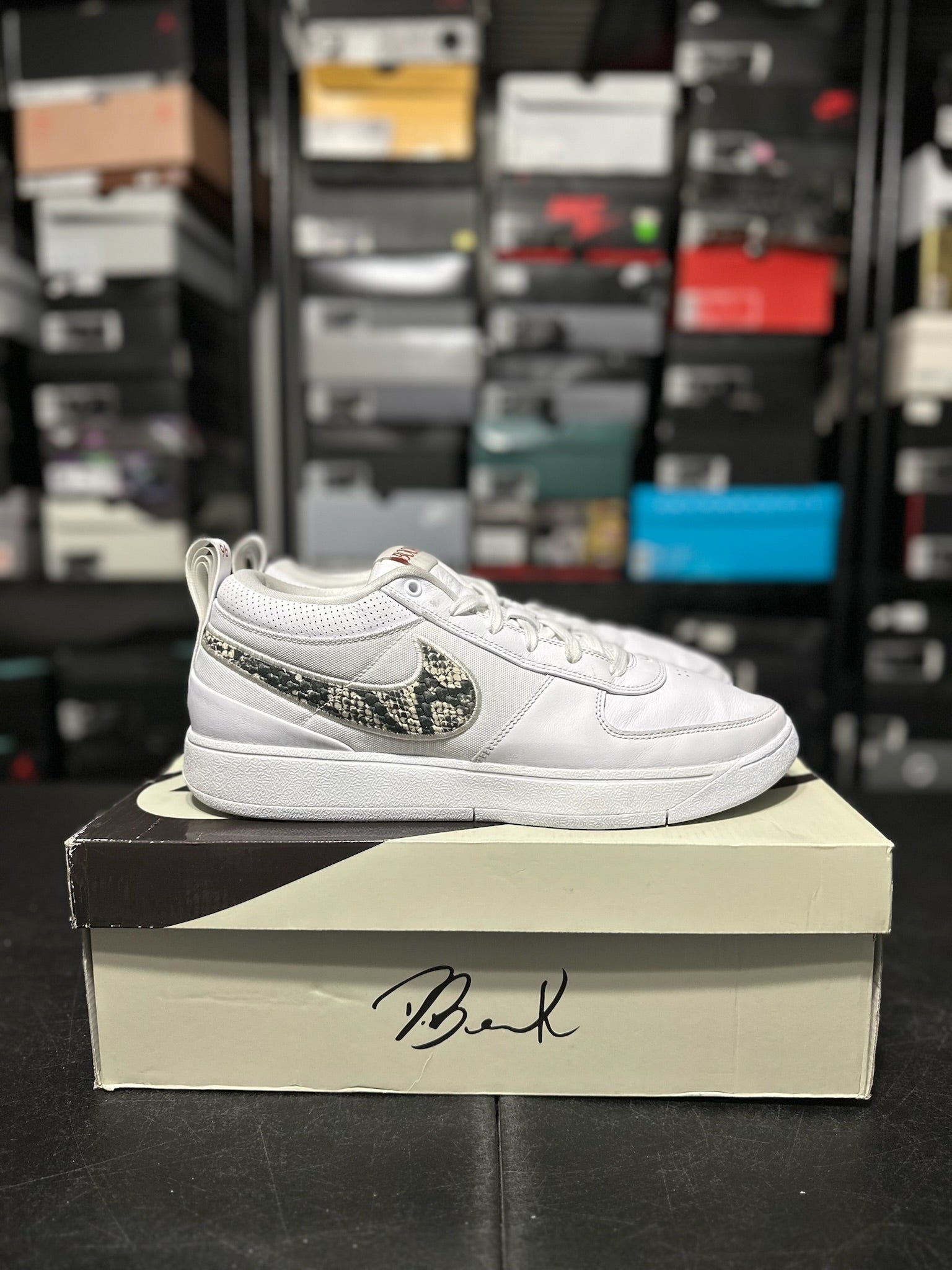 Size 13 - Book 1 Rattlesnake