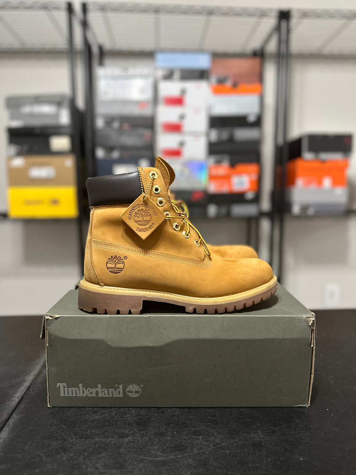 Size 8 - Timberland 6in Wheat boot