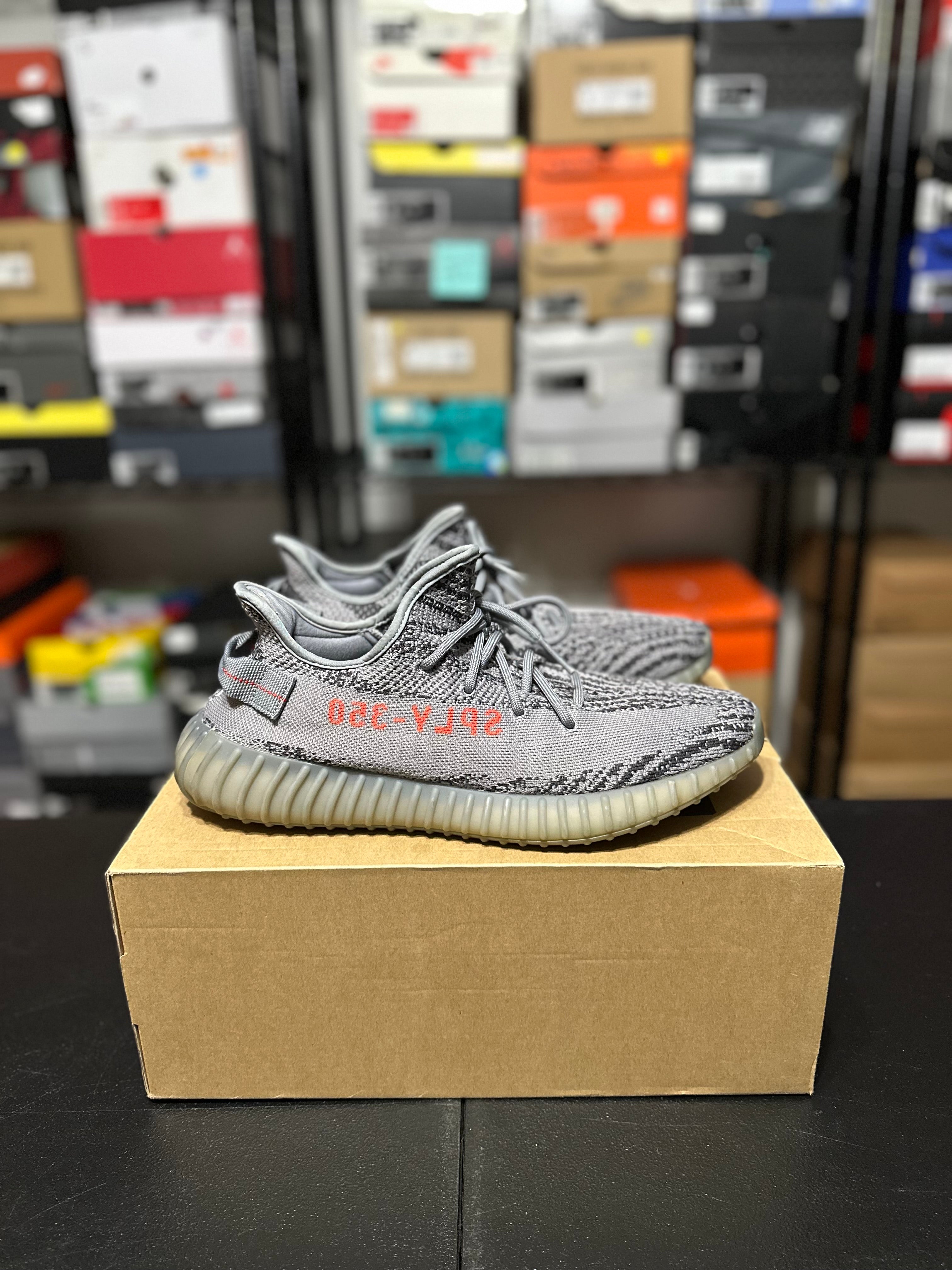 Size 12 - YZY beluga 2.0
