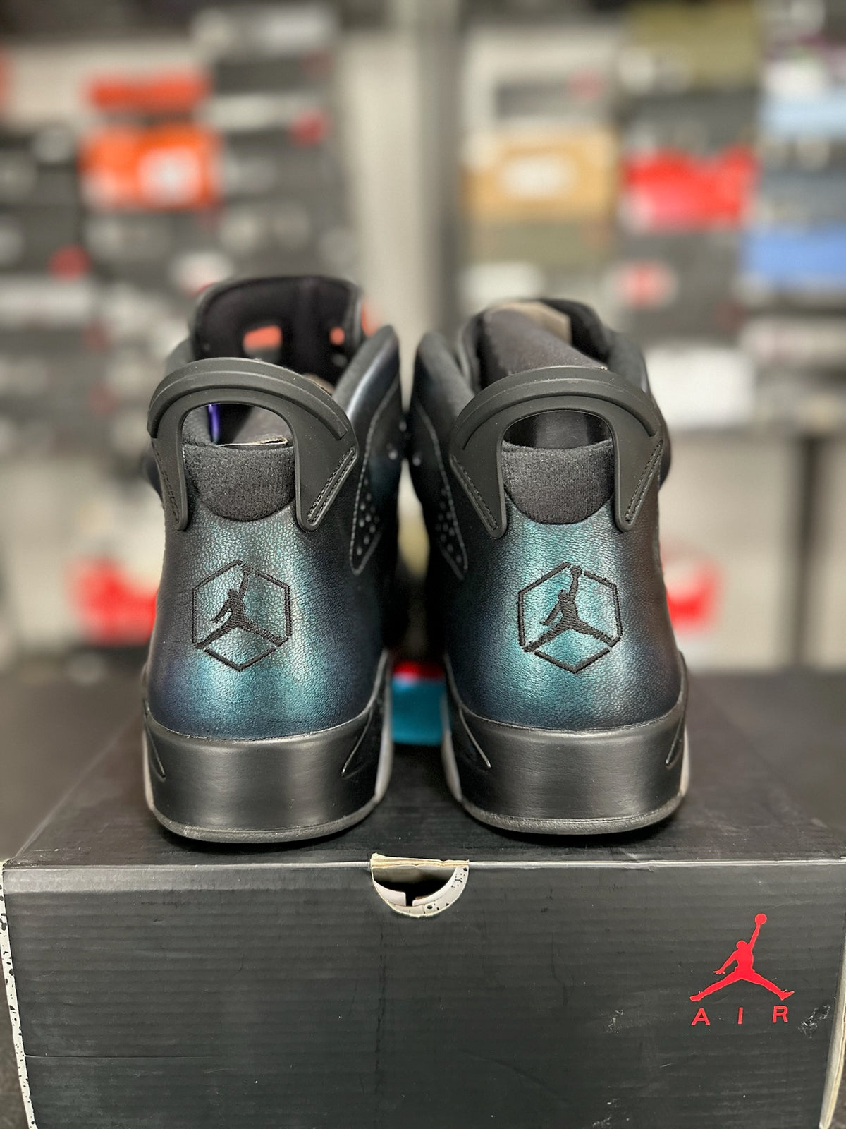 Size 12 - j6 all star chameleon