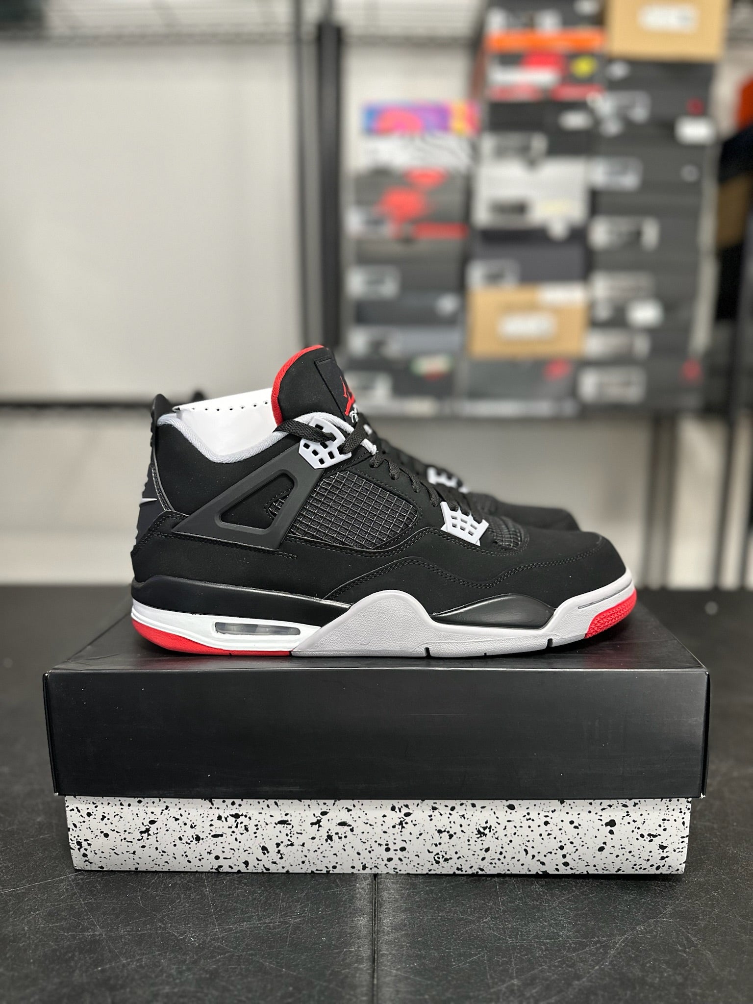Size 13 - J4 Bred DS
