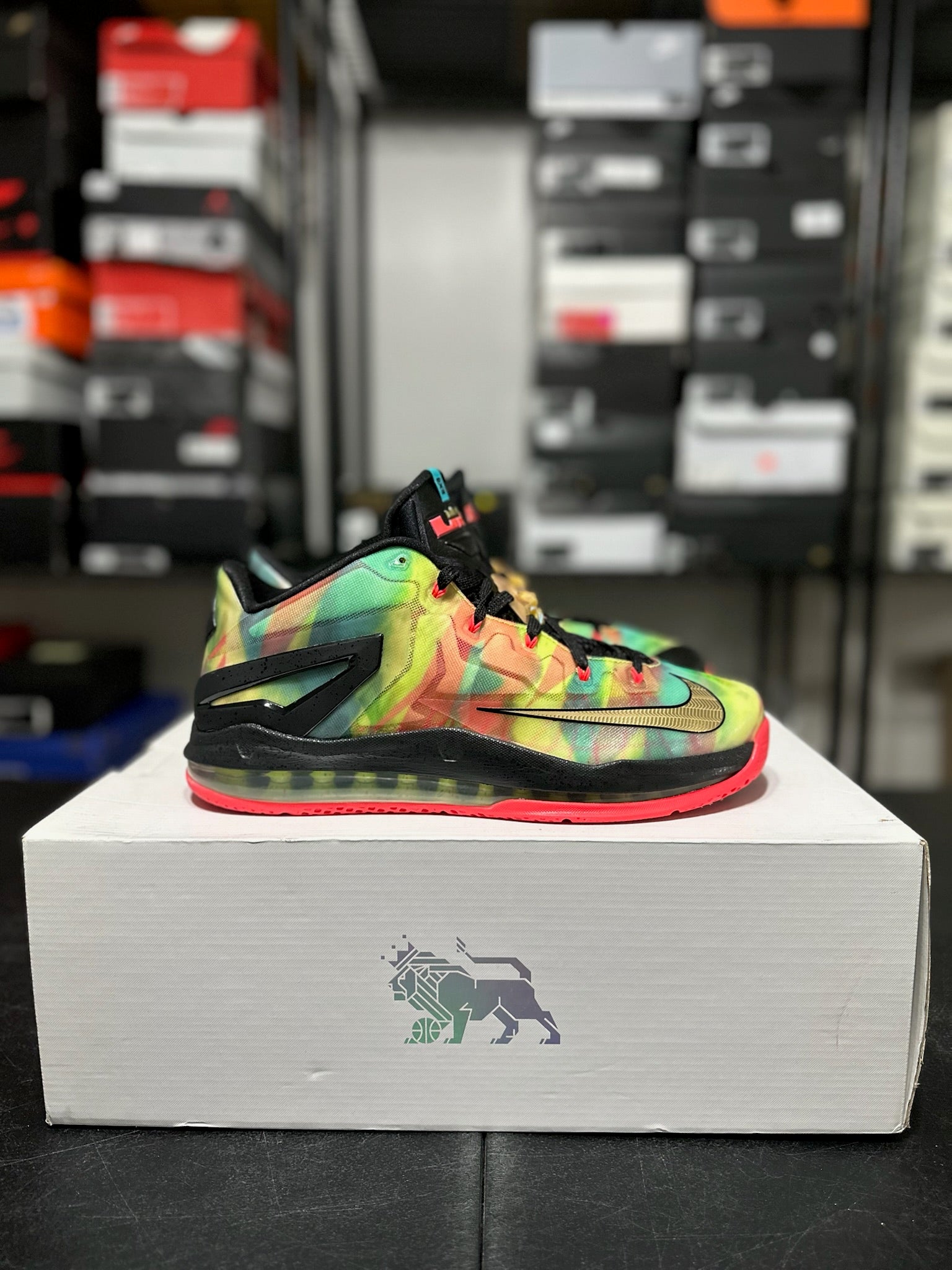 Size 10.5 - LeBron 11 Low SE Multi Color
