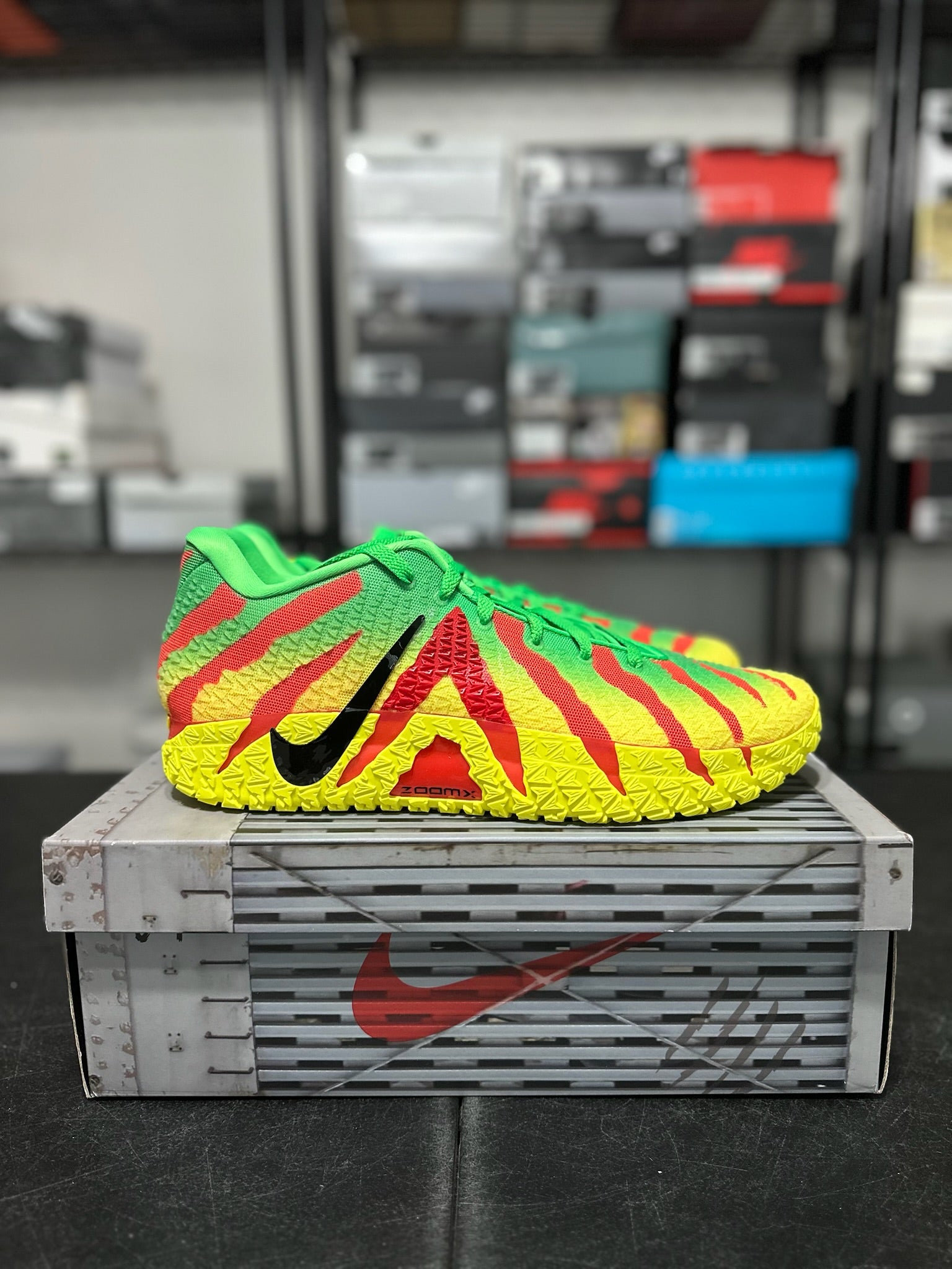 Size 14 - JA 3 Jurassic Park Explorer DS