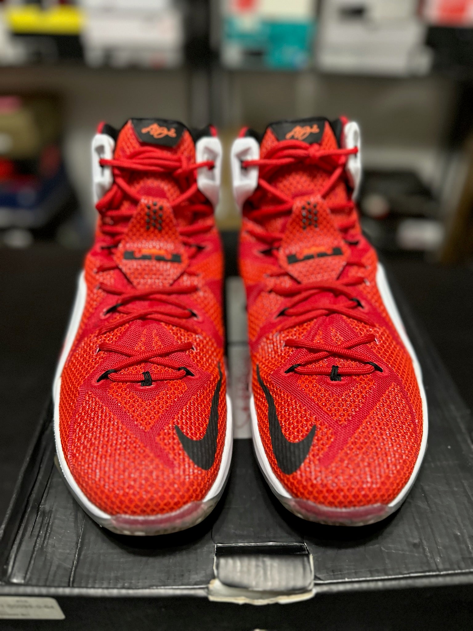 Size 13 - LeBron 12 Heart of a Lion