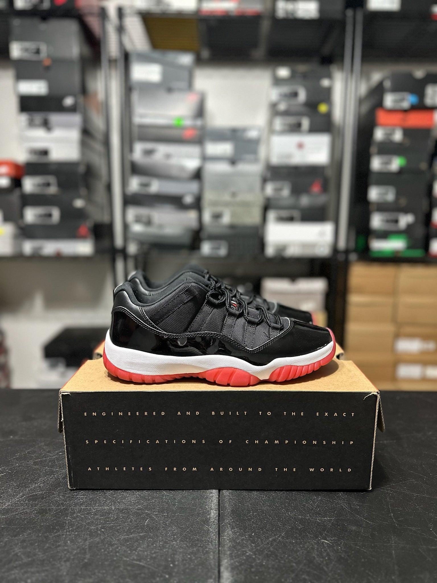 Size 9.5 - J11 Low Bred
