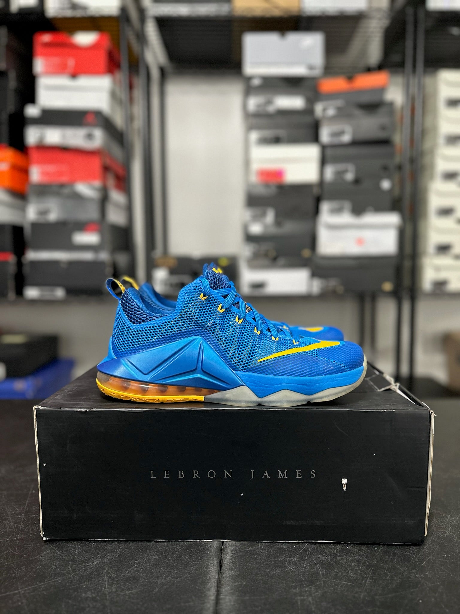 Size 11 - LeBron 12 Low Entourage