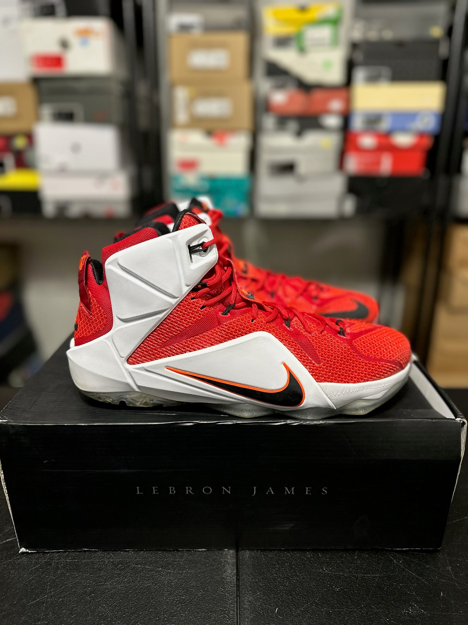 Size 13 - LeBron 12 Heart of a Lion
