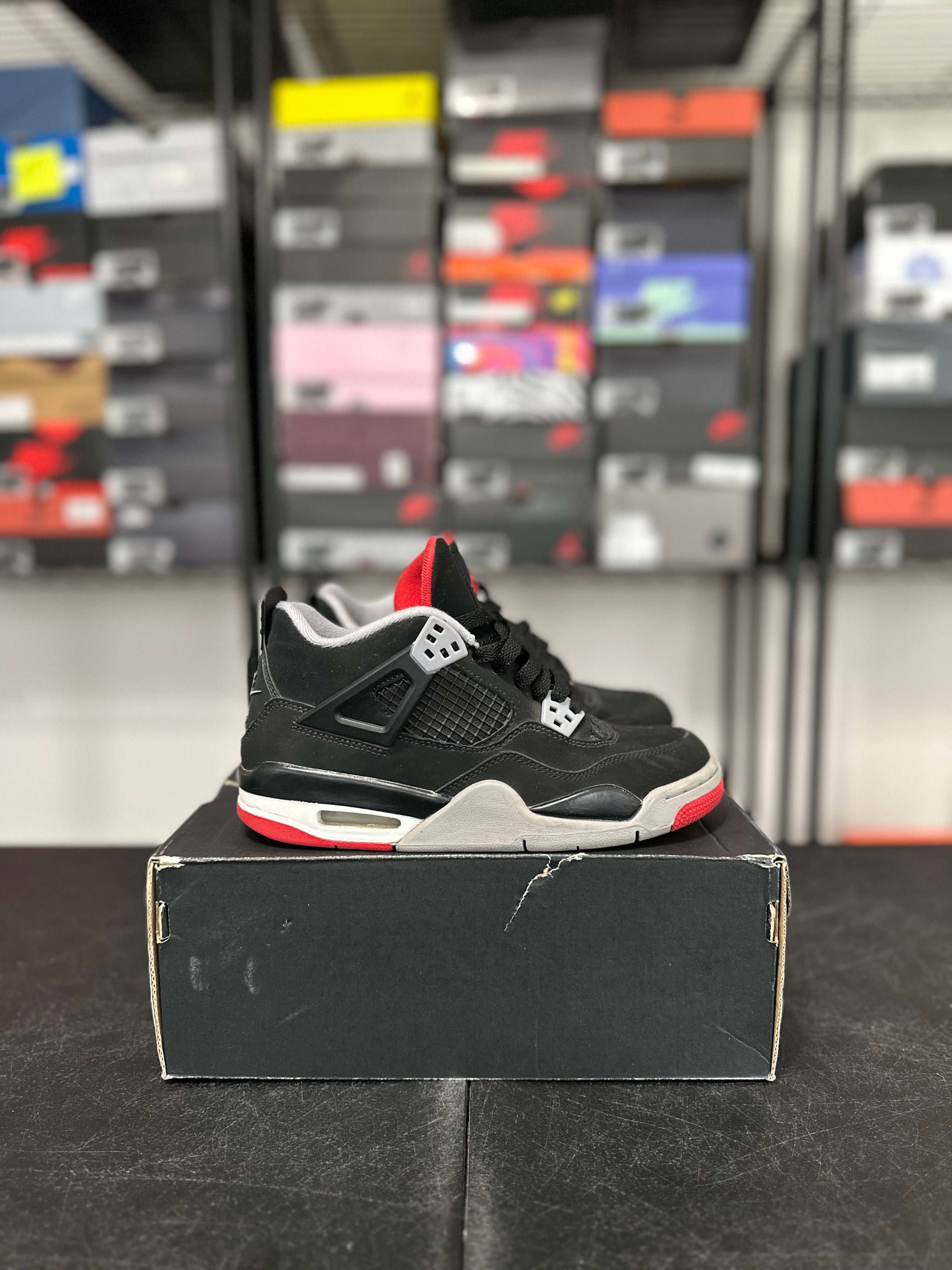 Size 5y - J4 bred 2016