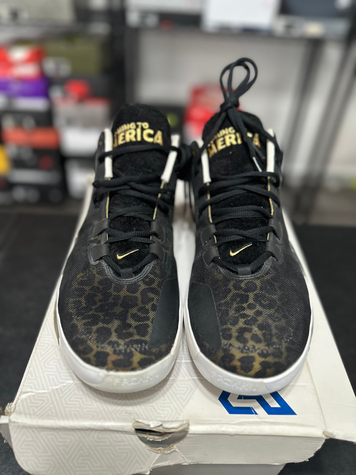 Size 13 - zoom freak 1 coming to America