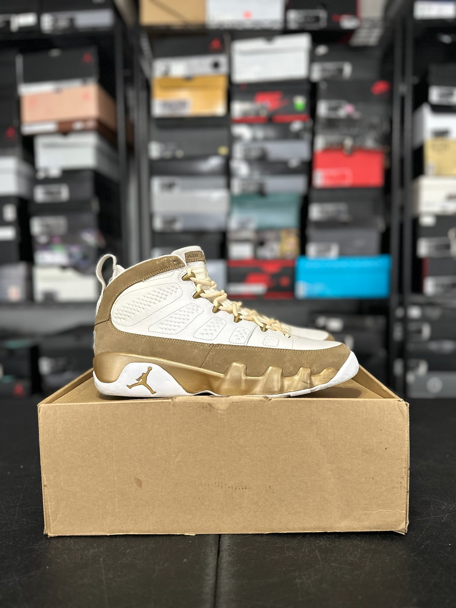 Size 12 - J9 Premio Bin 23