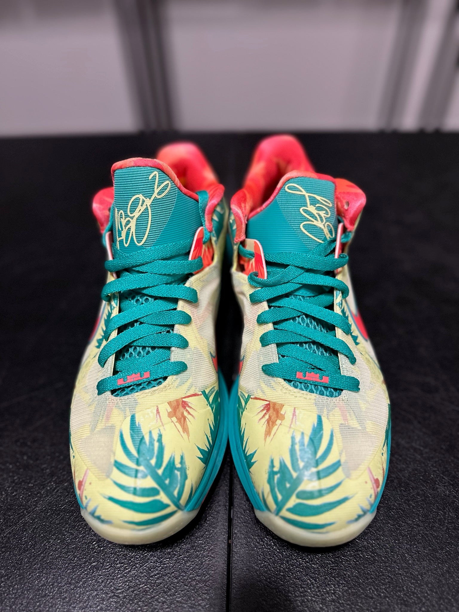 Size 9 - LeBron 9 Low LeBronald Palmer