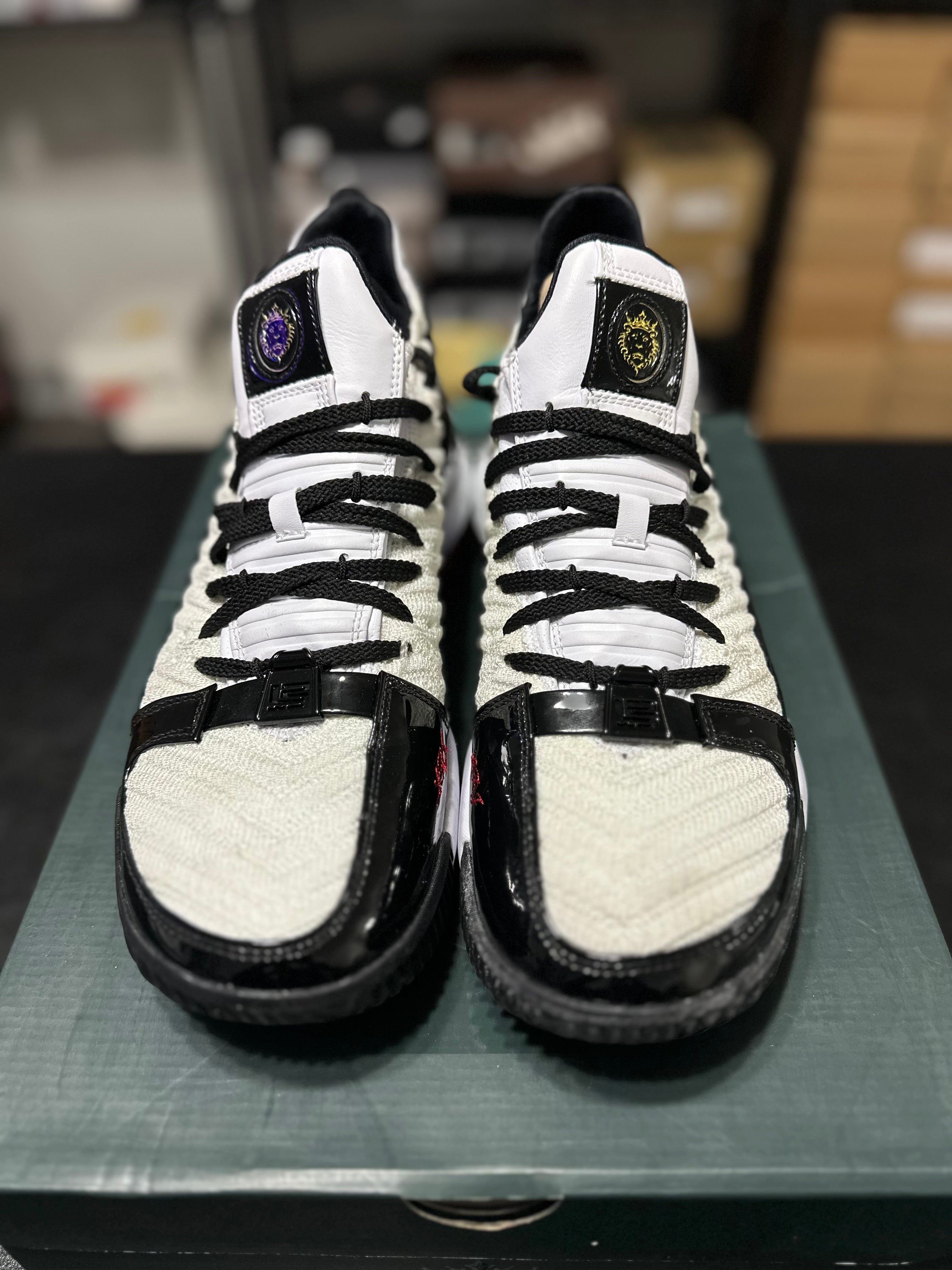 Size 9.5 - LeBron 16 remix