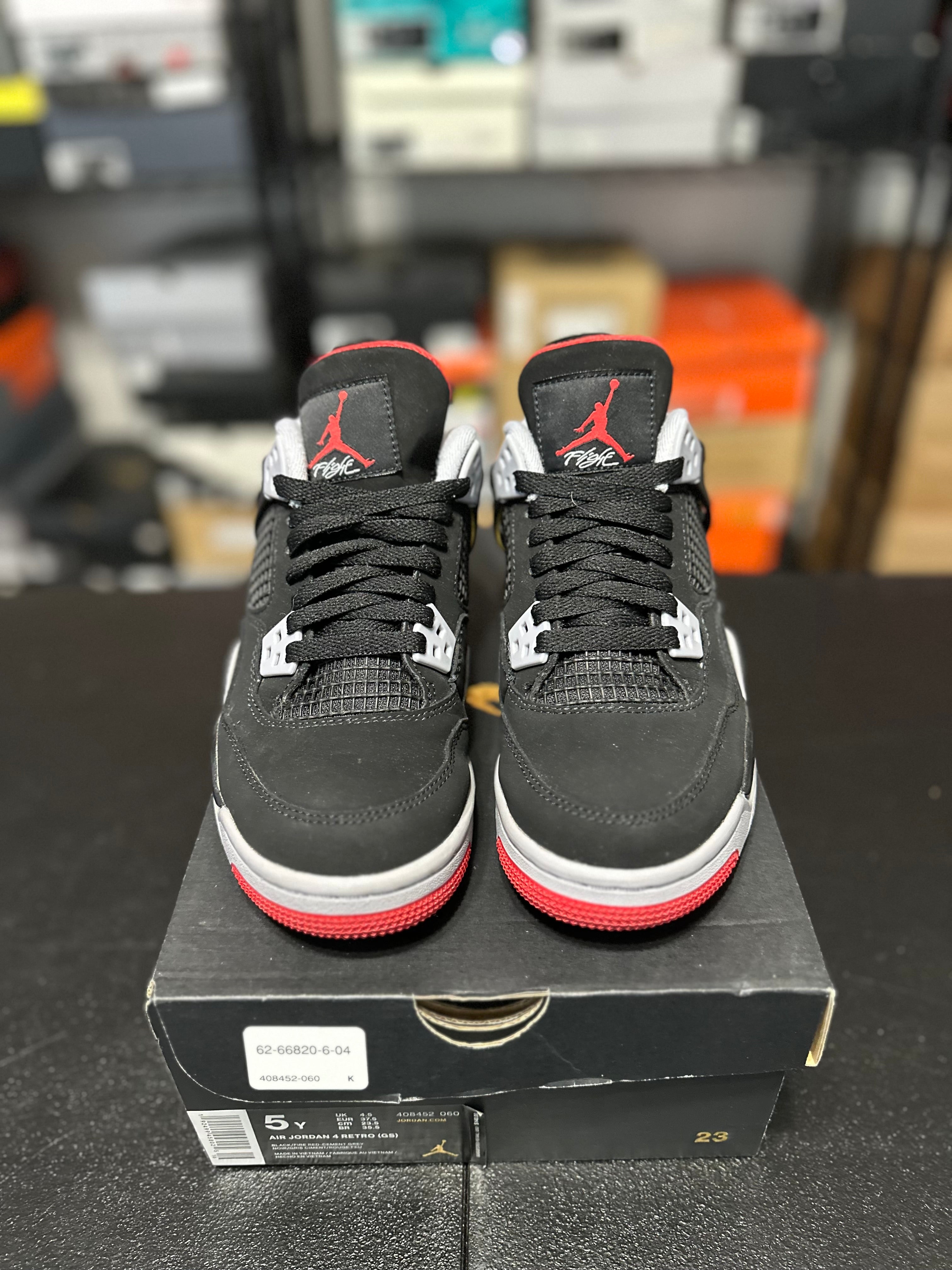 Size 5y - J4 bred 2019