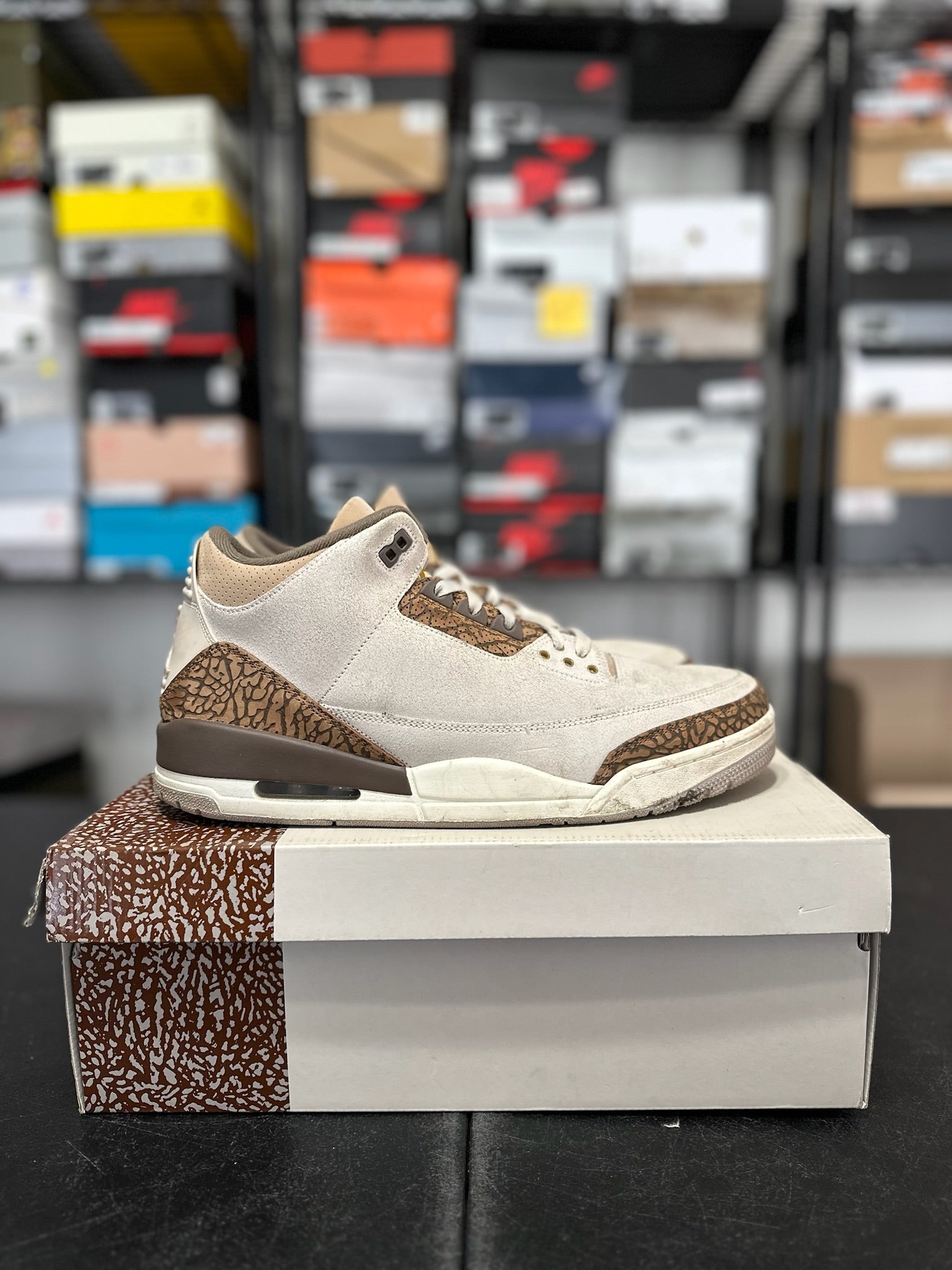 Size 13 - J3 Palomino