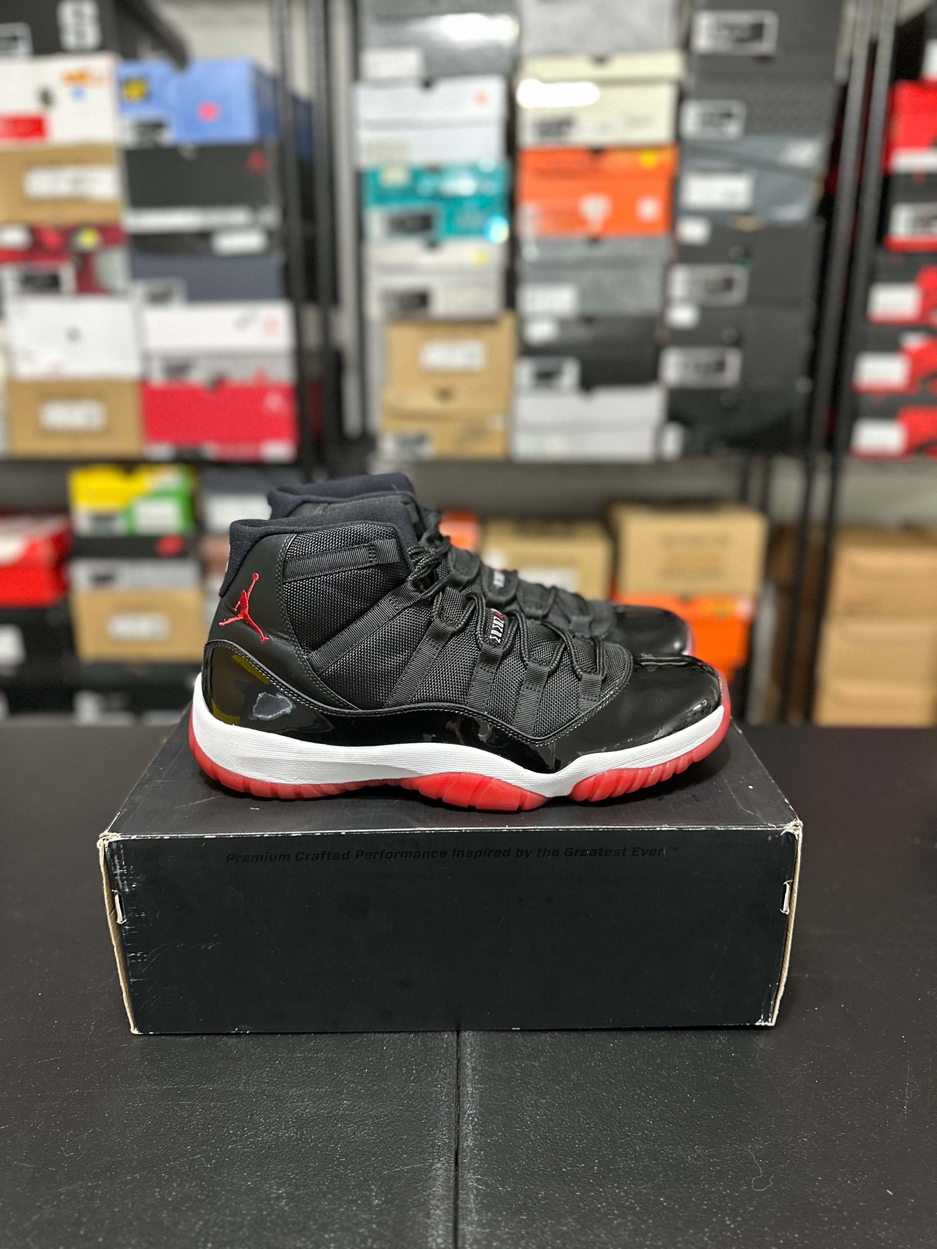 Size 13 - J11 bred 2012