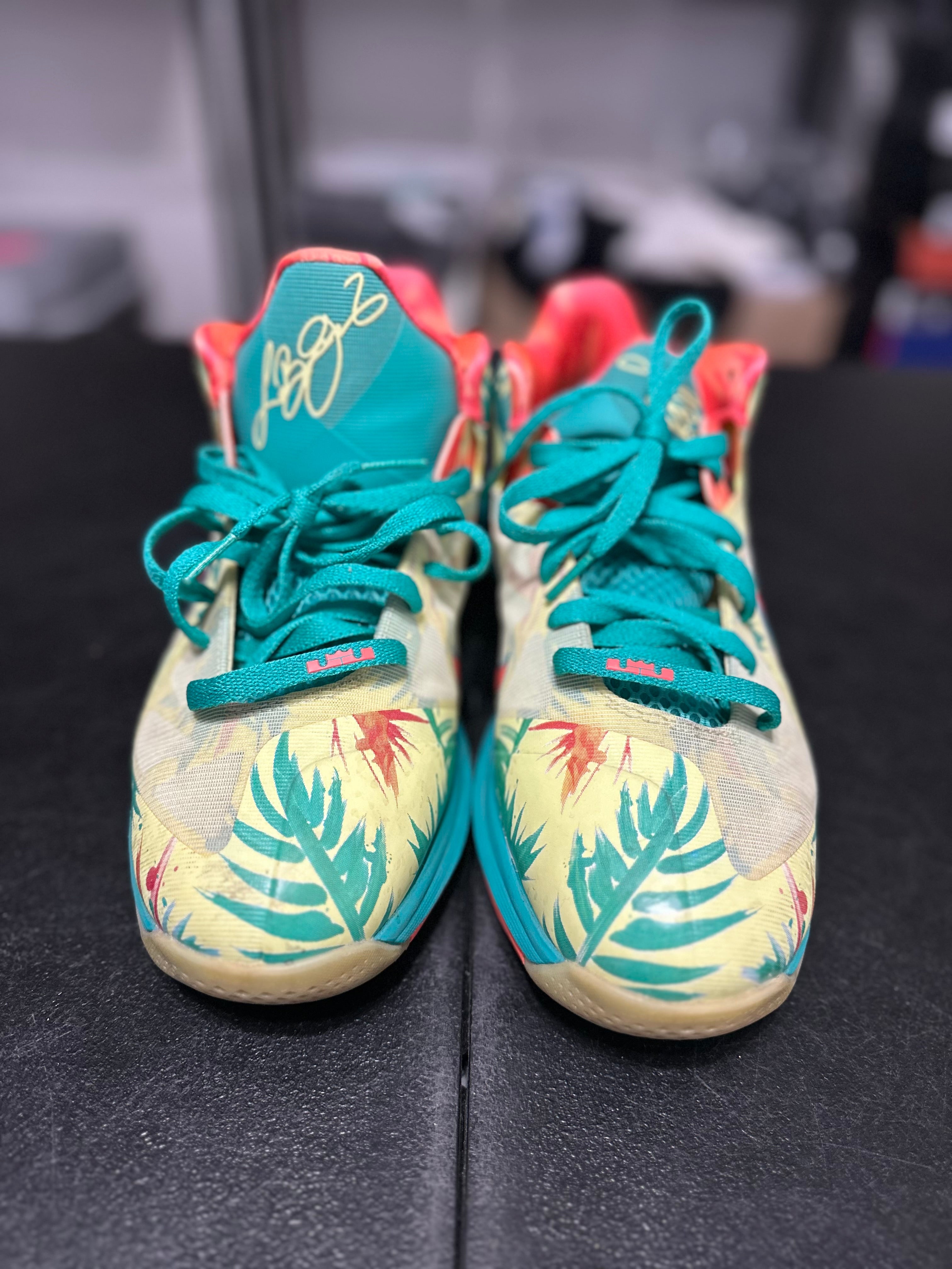 Size 10.5 - LeBron 9 low LeBronald Palmer
