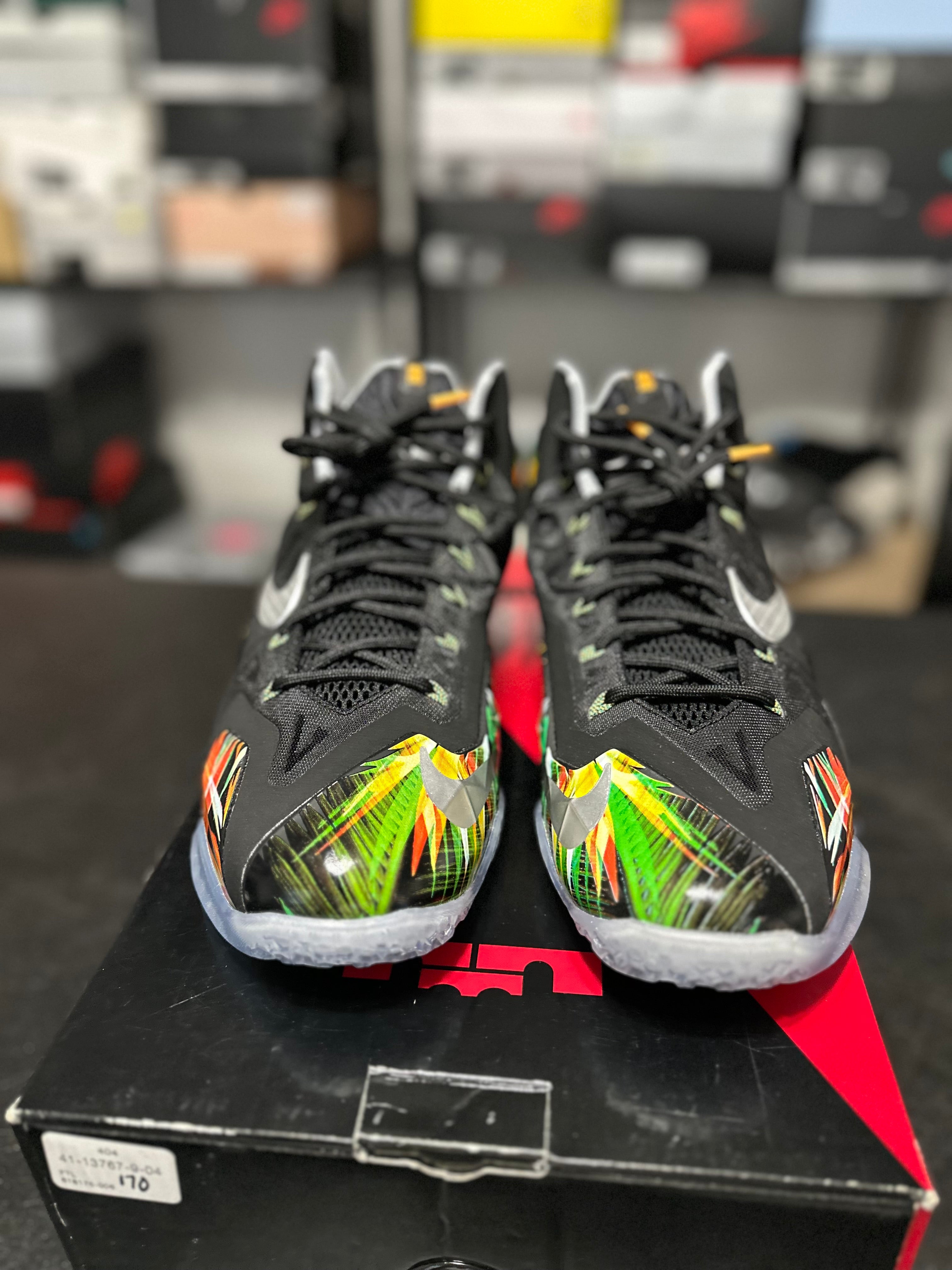 Size 11 - LeBron 11 Everglades DS