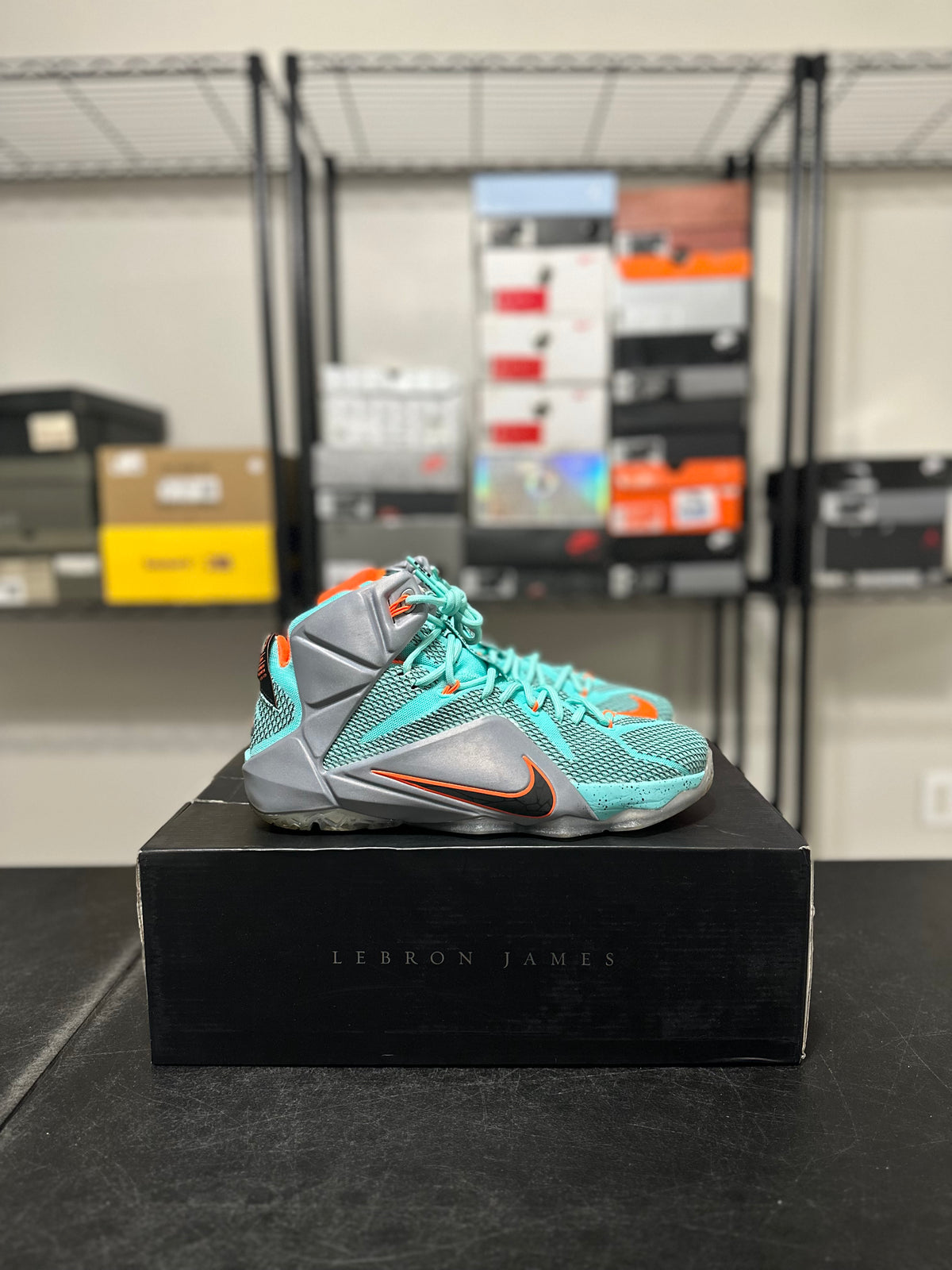 Size 10 - LeBron 12 NSRL