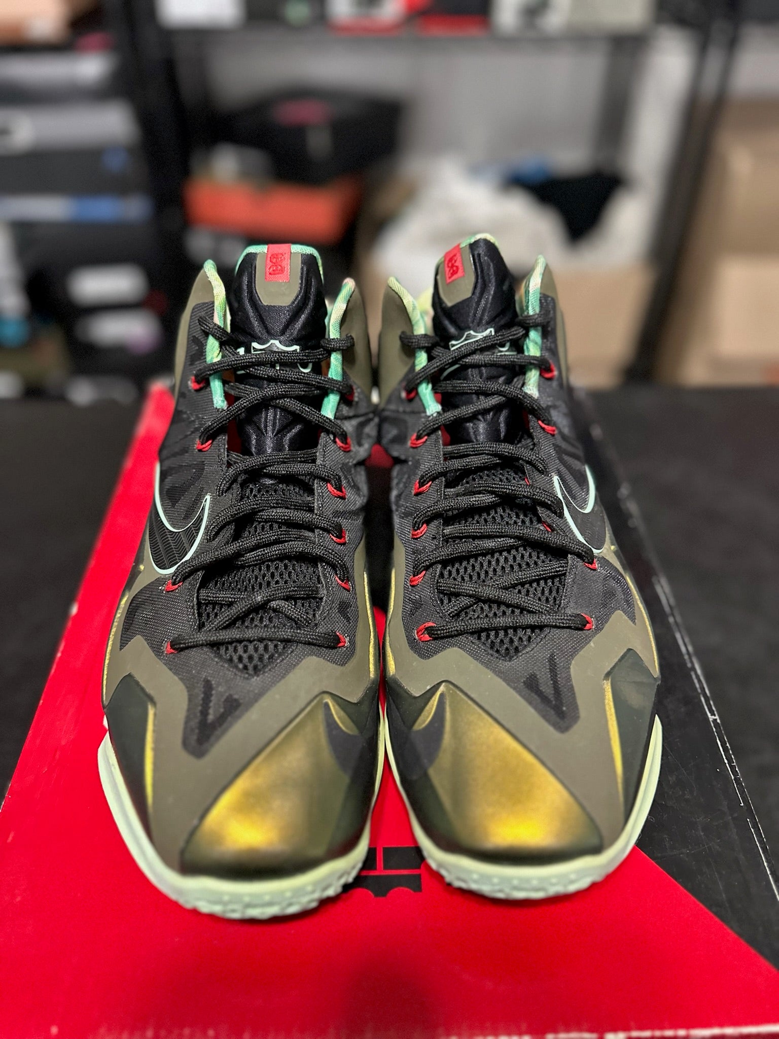 Size 11.5 - LeBron 11 King’s Pride