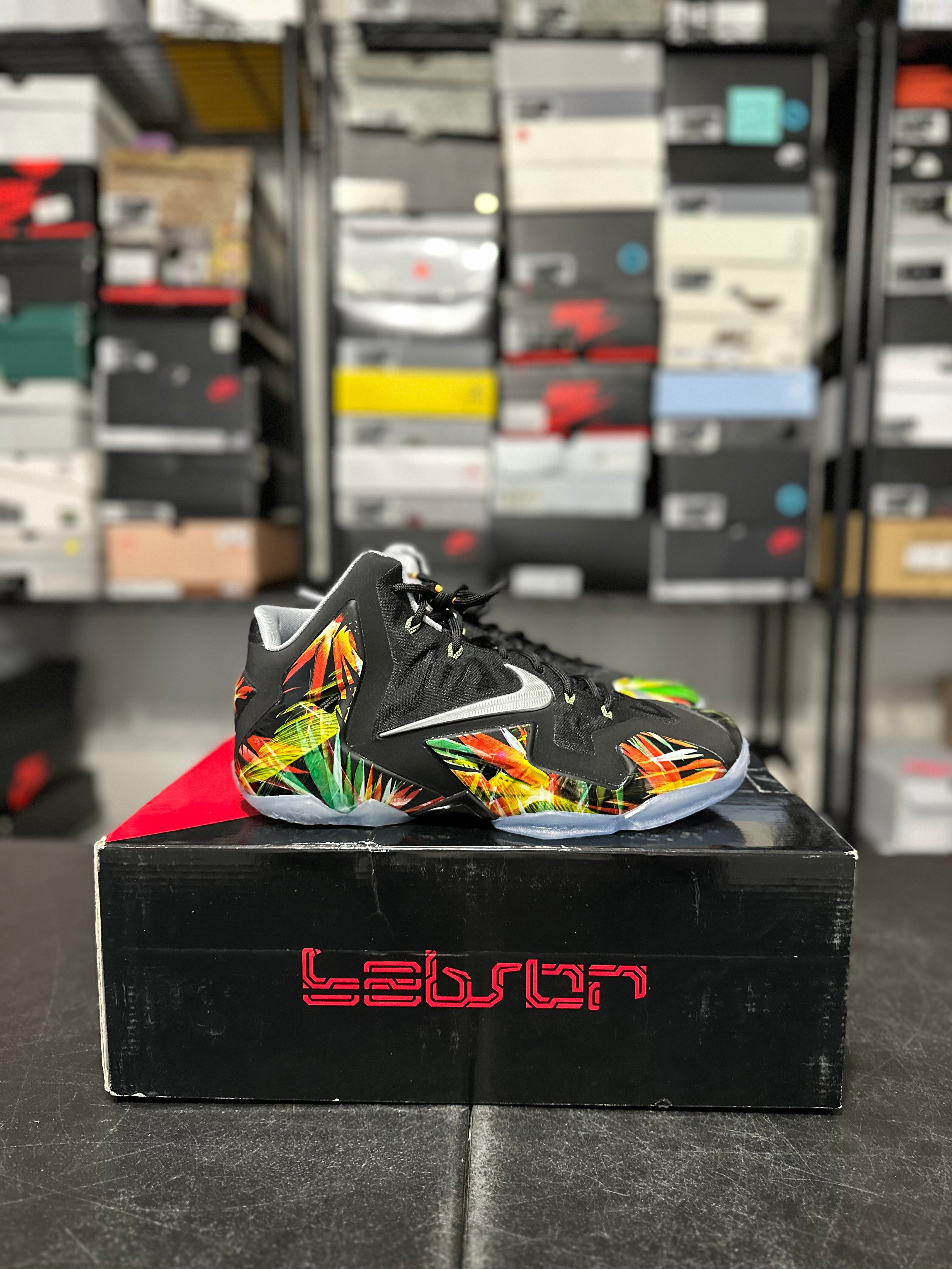 Size 11 - LeBron 11 Everglades DS