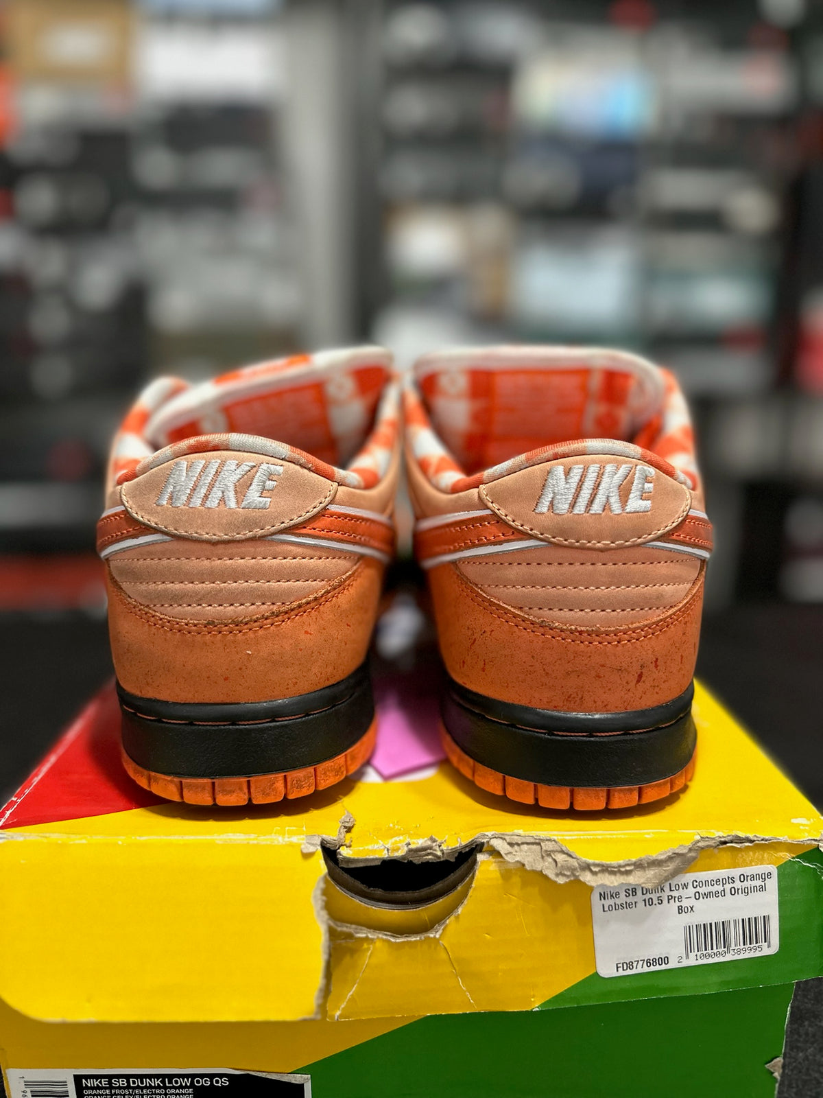 Size 10.5 - sb dunk low concept orange lobster