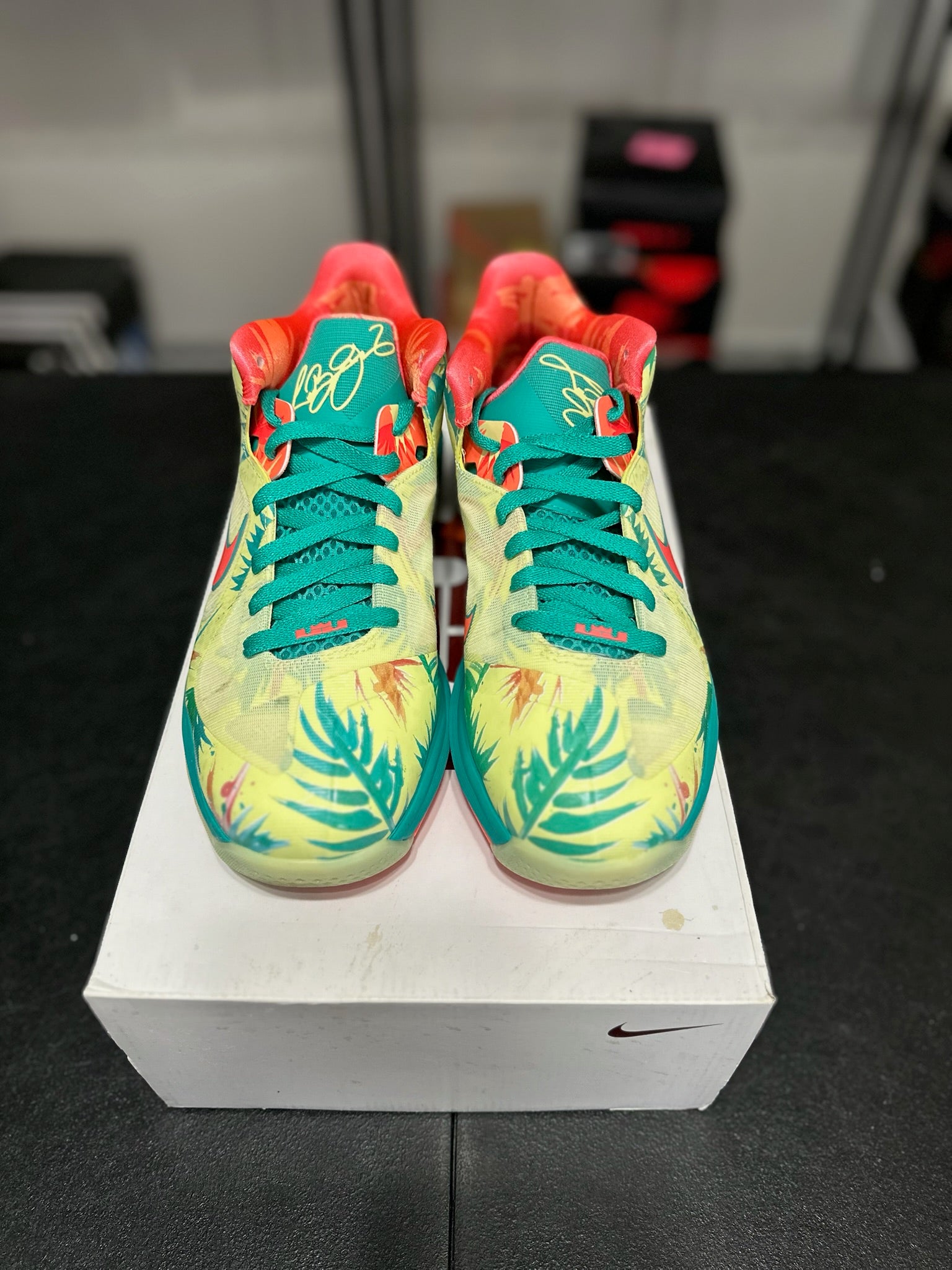 Size 9.5 - LeBron 9 low lebronald palmer