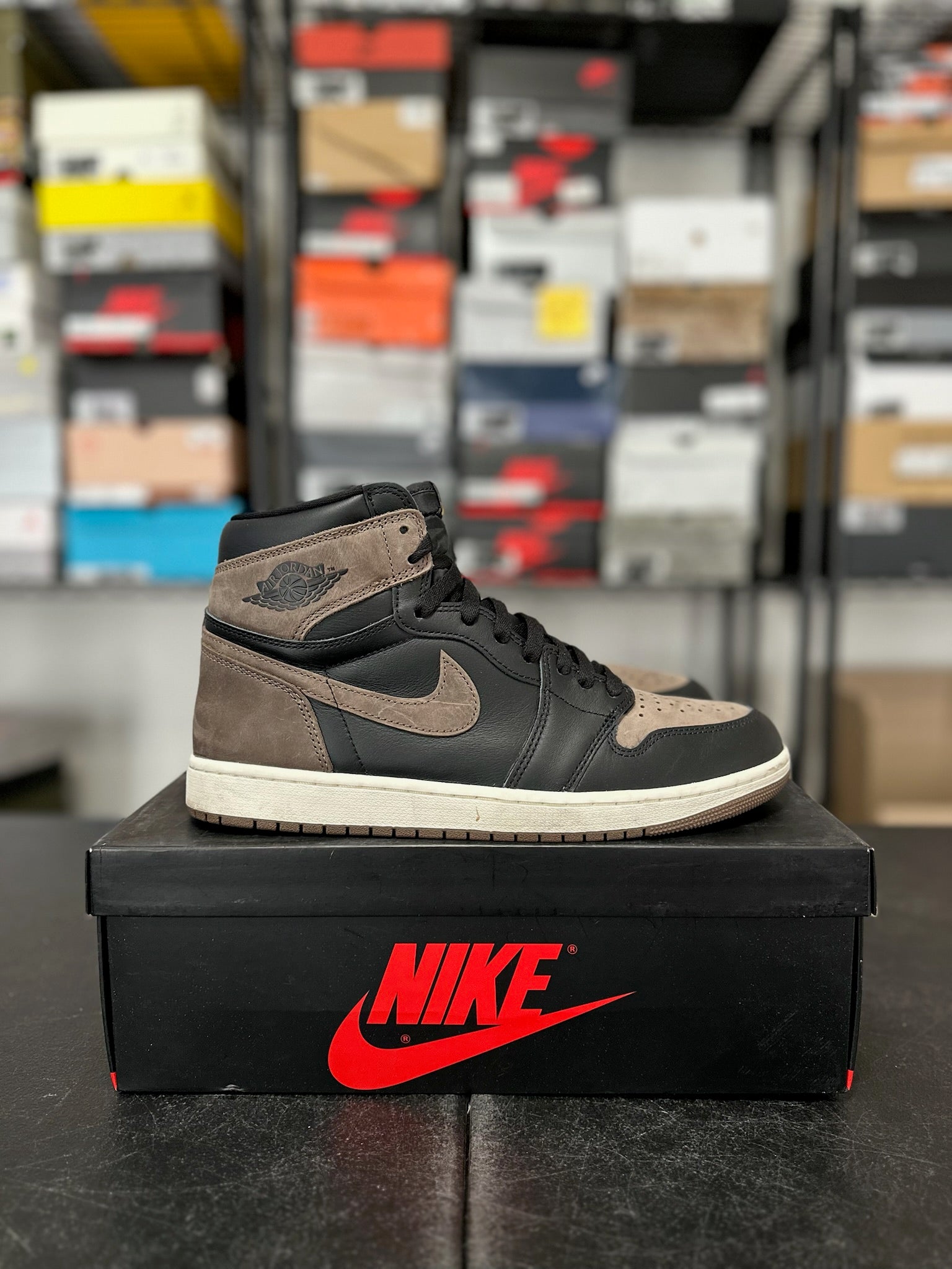 Size 11 - J1 Palomino