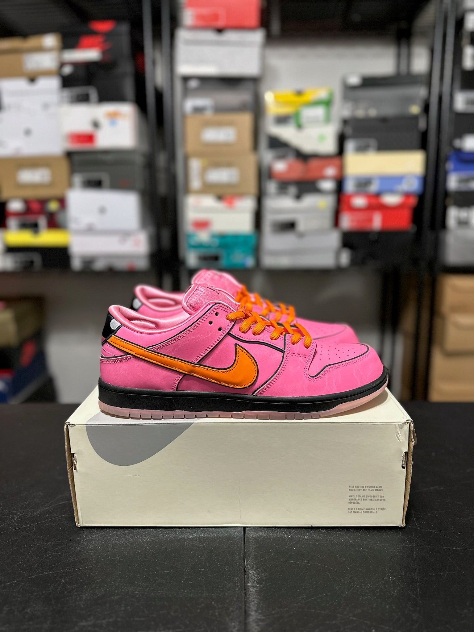 Size 13 - Dunk Low Powerpuff Girls Blossom