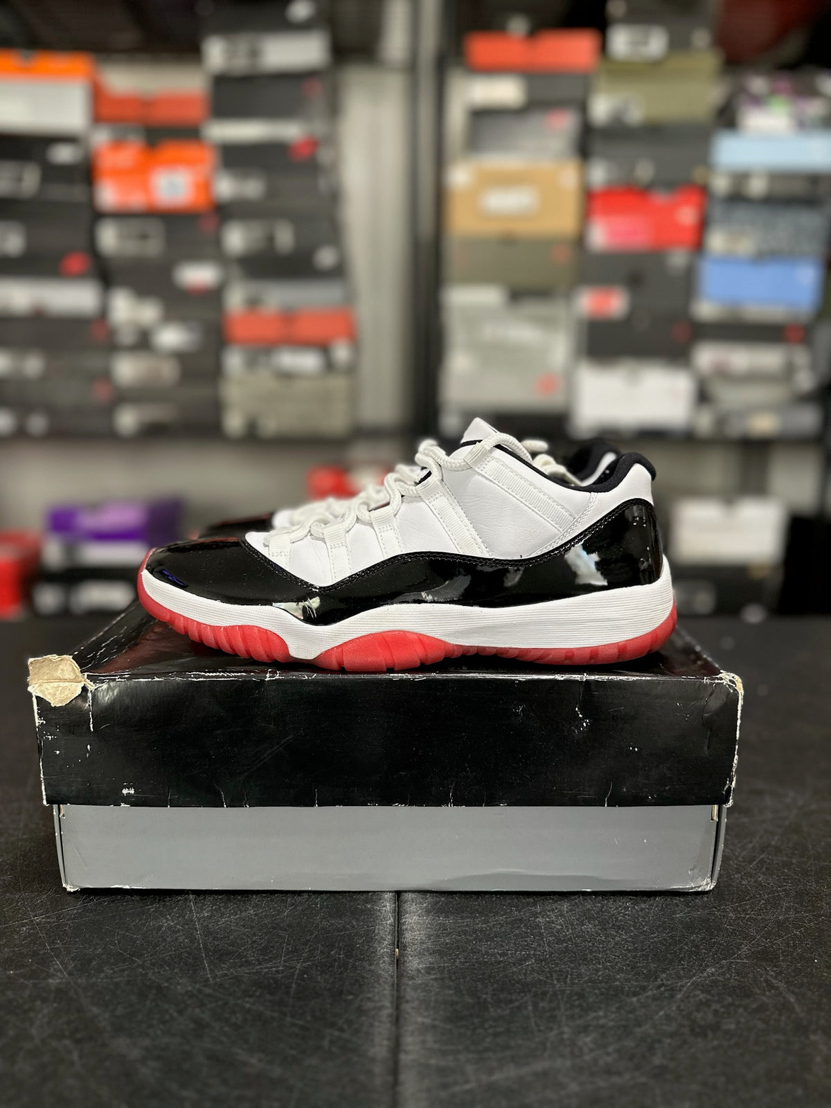 Size 10.5 - j11 concord bred
