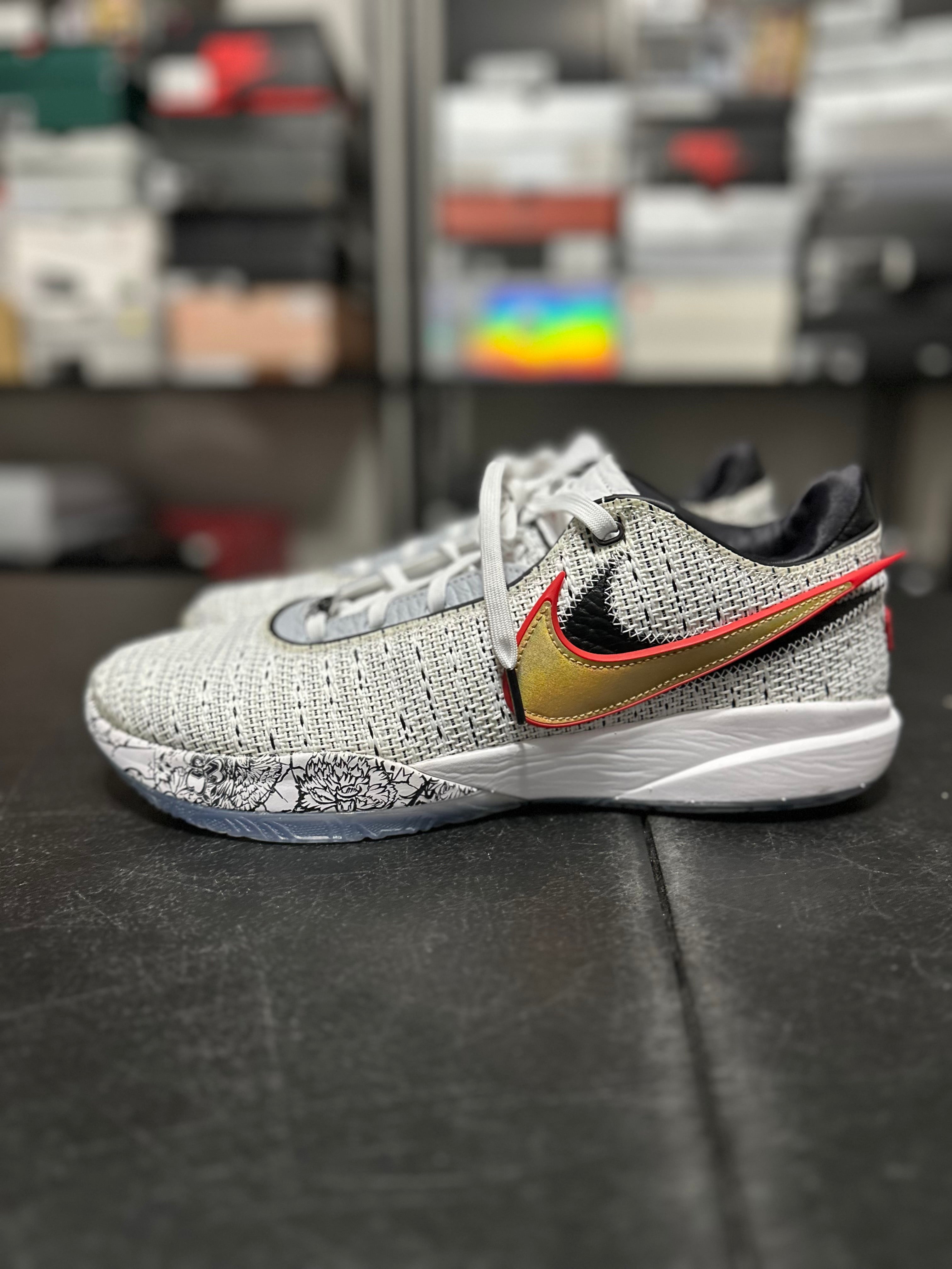 Size 12 - LeBron 20 the debut