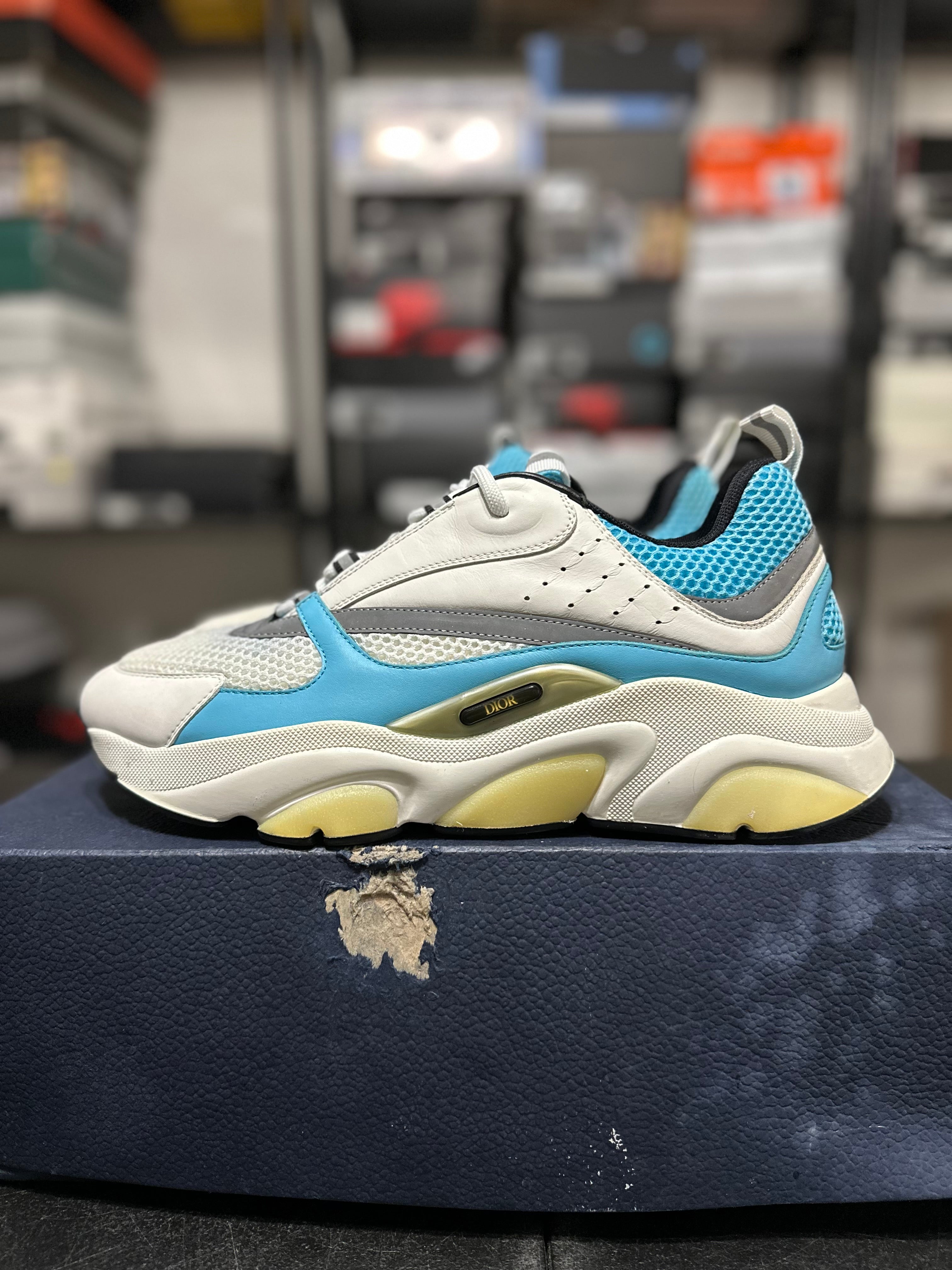 Size 11 - (45) Dior B22 white/blue