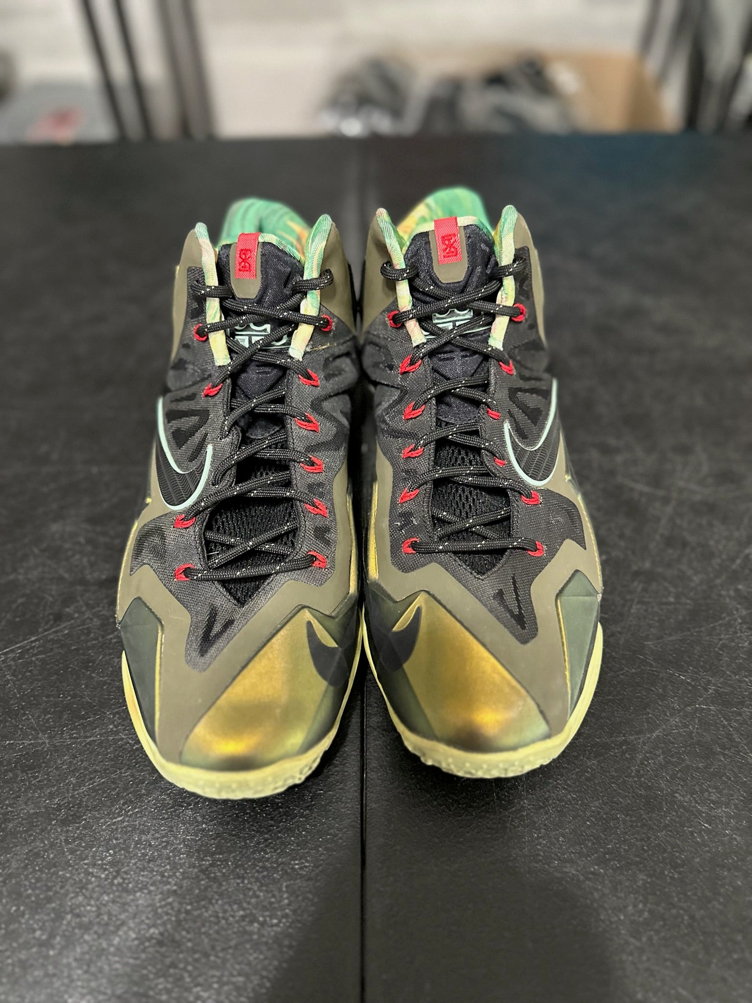 Size 11 - LeBron 11 Kings Pride