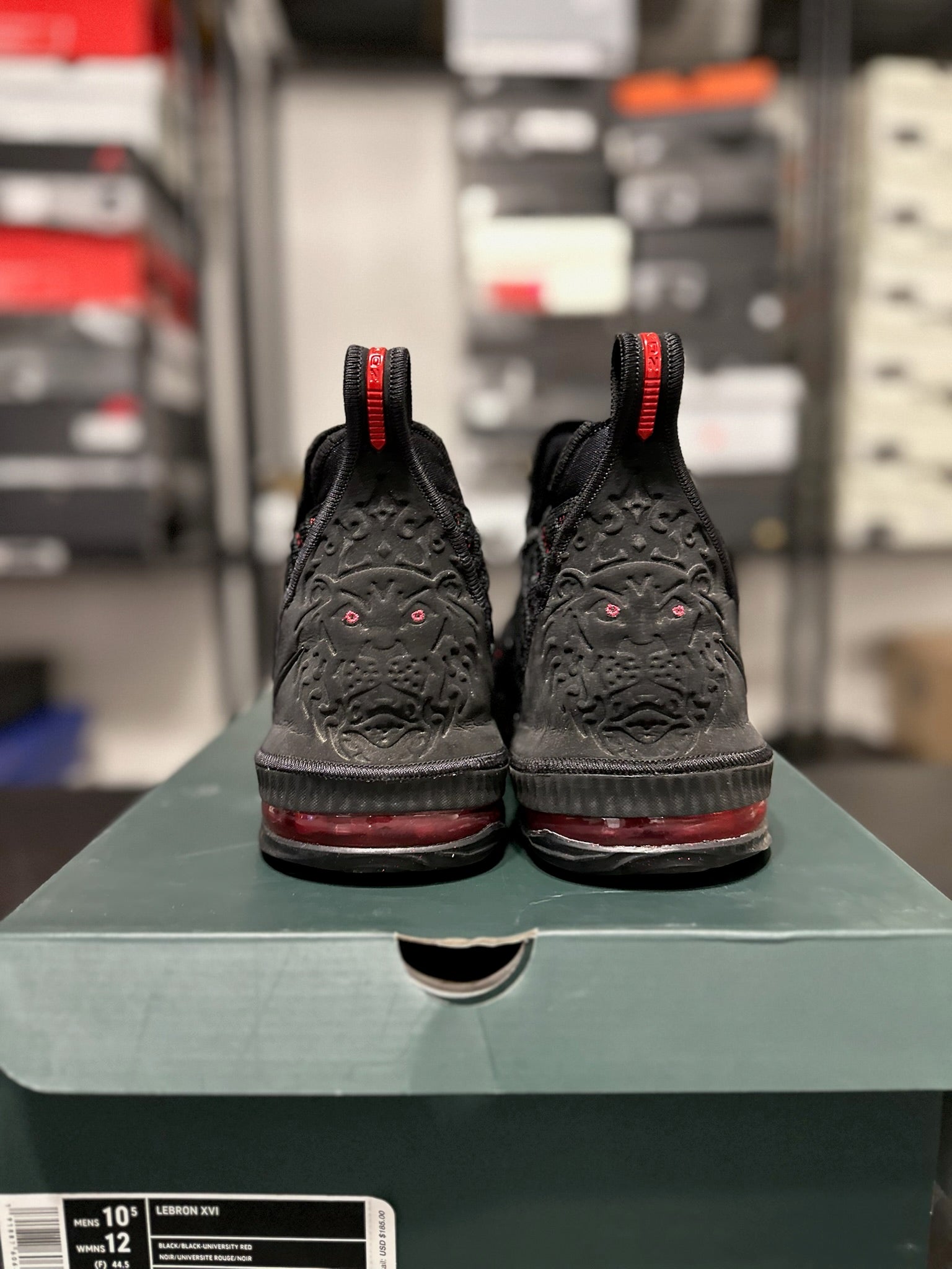 Size 10.5 - LeBron 16 Fresh Bred