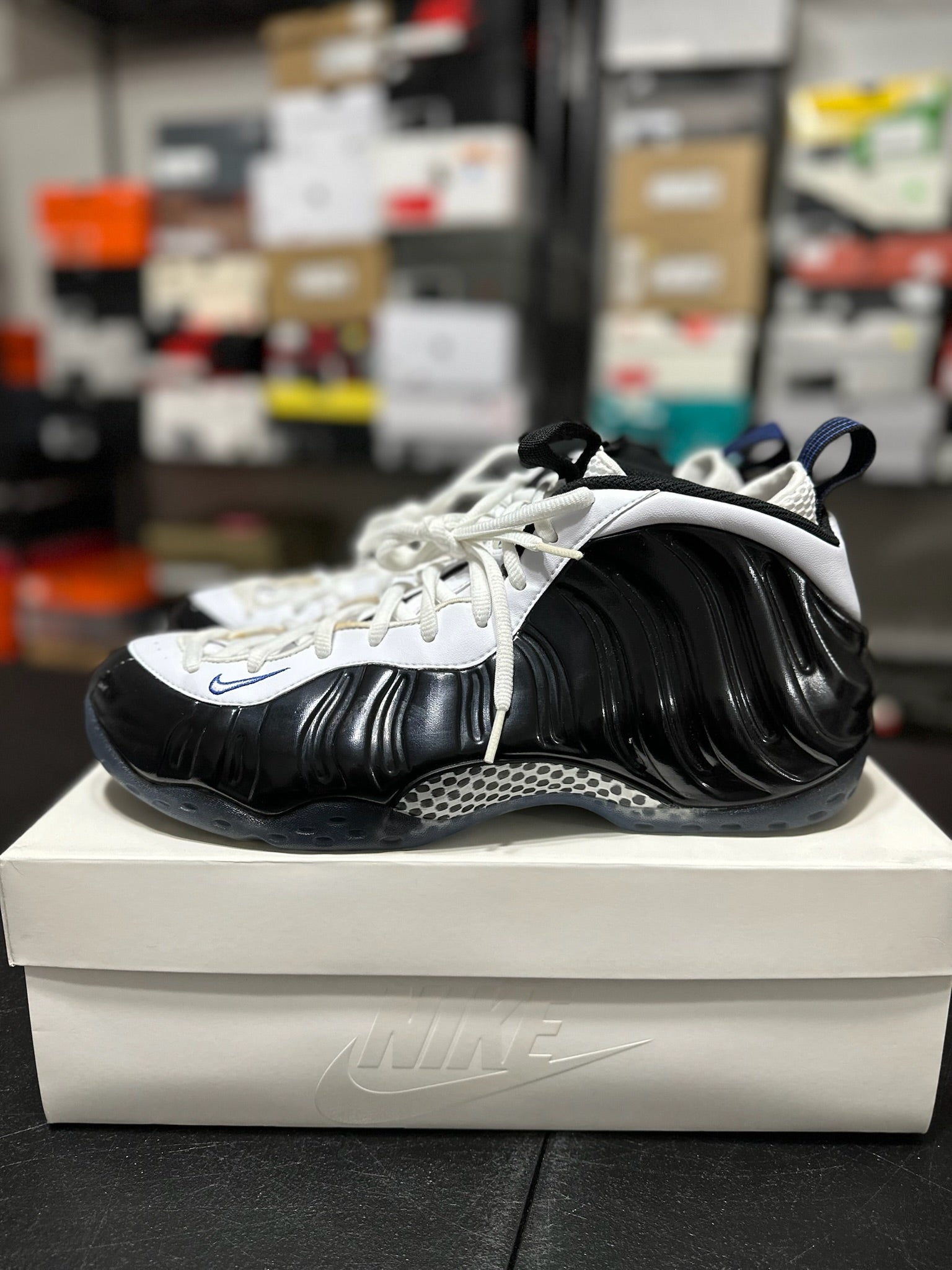 Size 13 - Foamposite 1 Concord