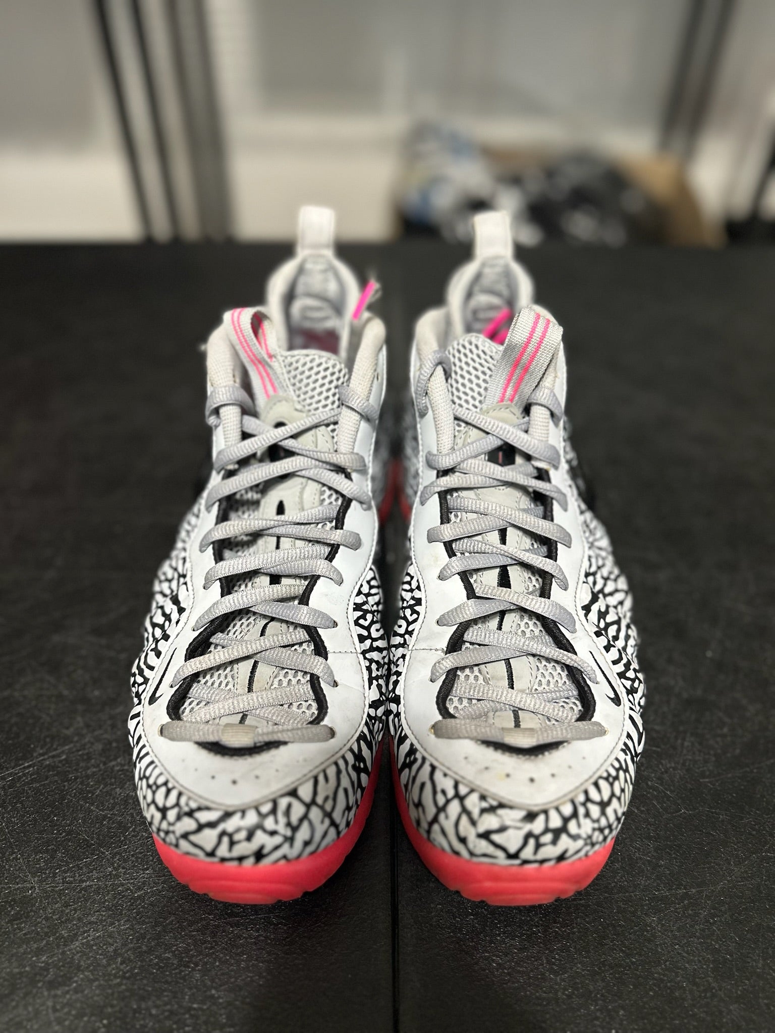 Size 11.5 - Foamposite Pro Elephant Print