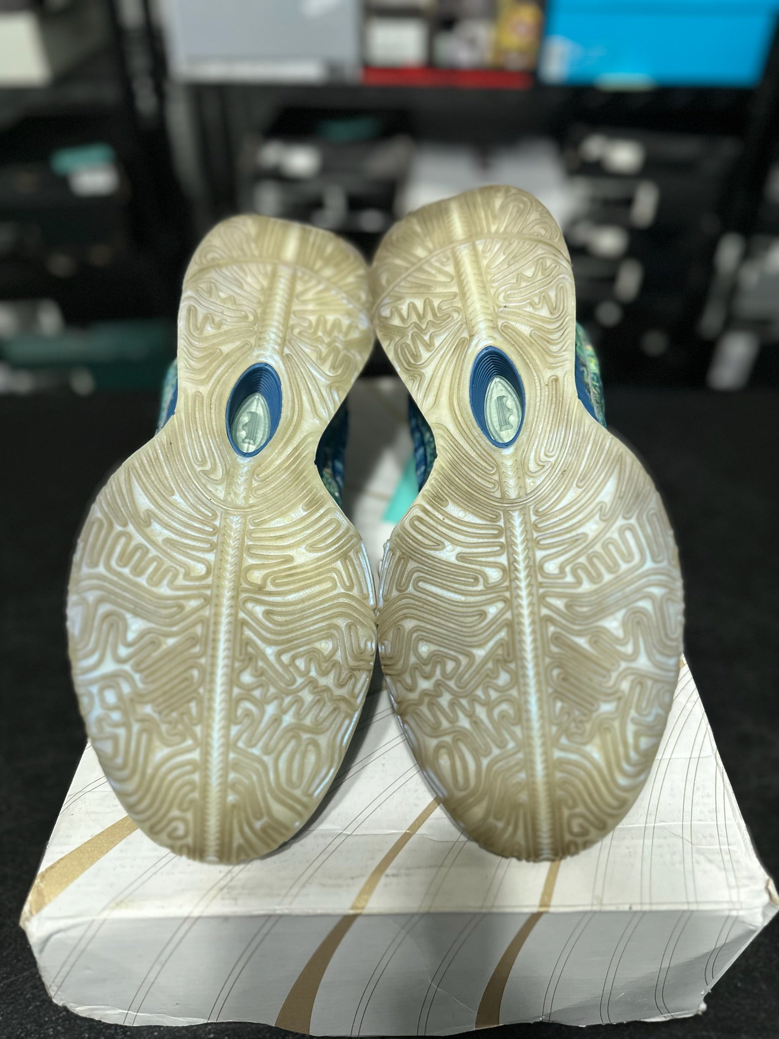 Size 13 - LeBron 21 Abalone