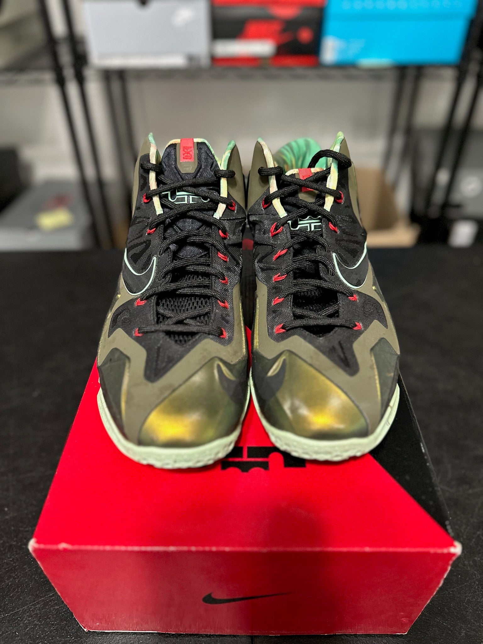 Size 10.5 - LeBron 11 King’s Pride