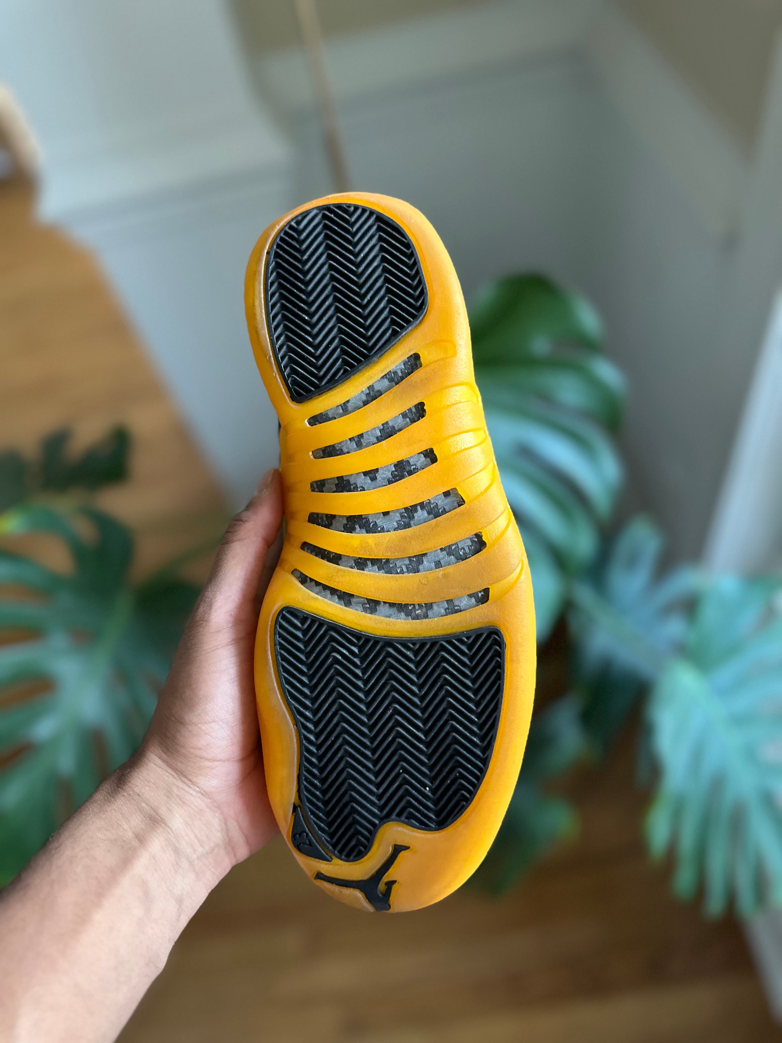Size 8 - J12 university gold