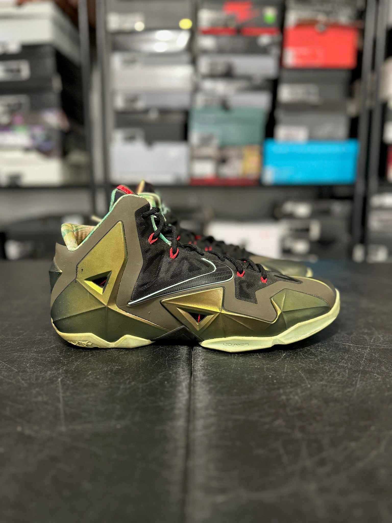 Size 12 - LeBron 11 Kings Pride