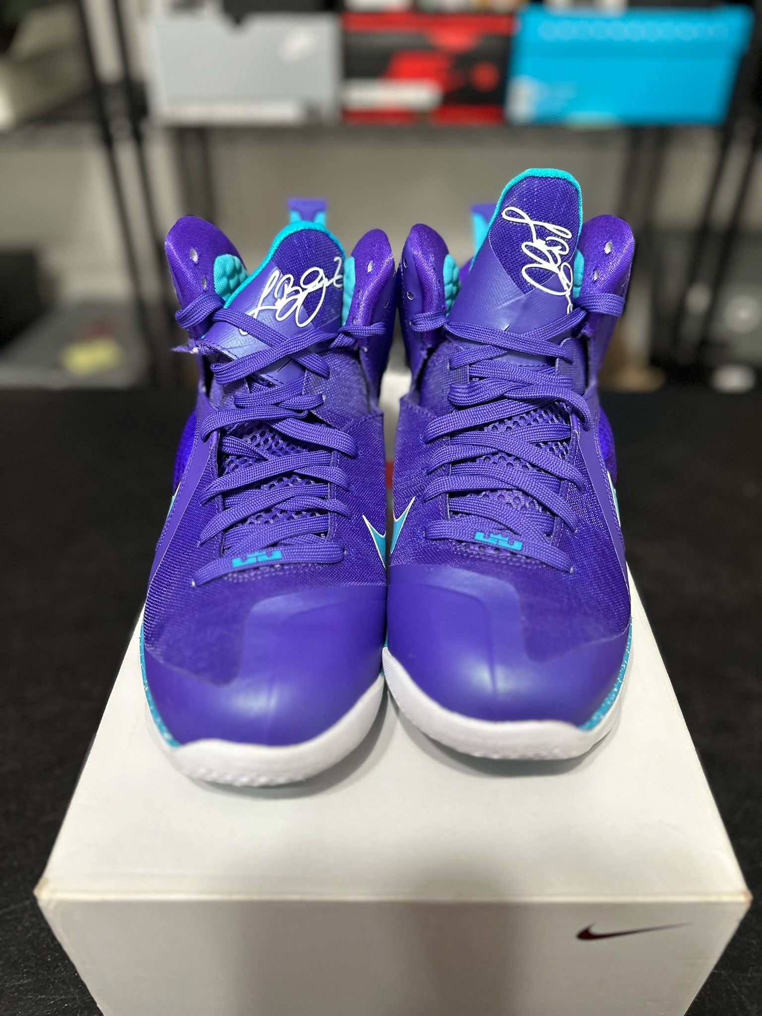Size 9.5 - LeBron 9 Summit Lake Hornets