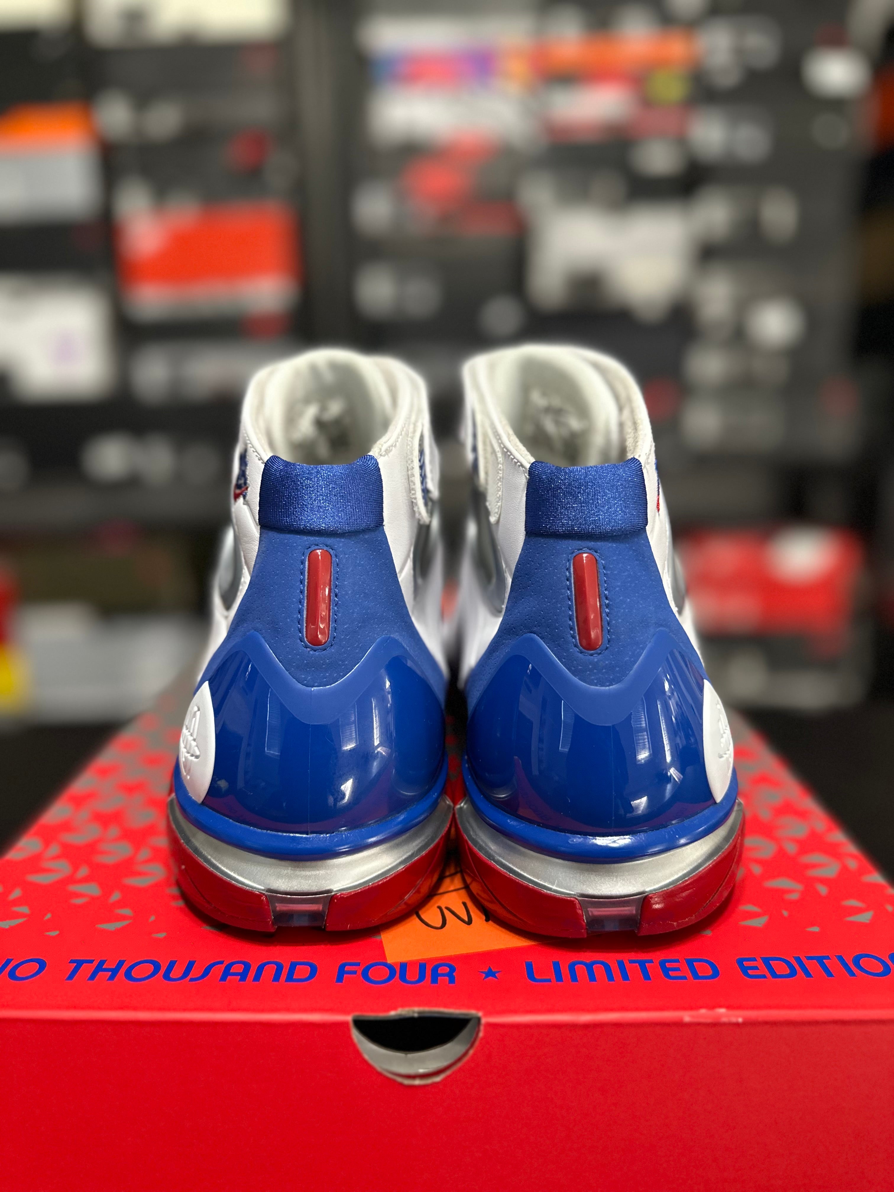 Size 11.5 - zoom hurache 2k4 all star