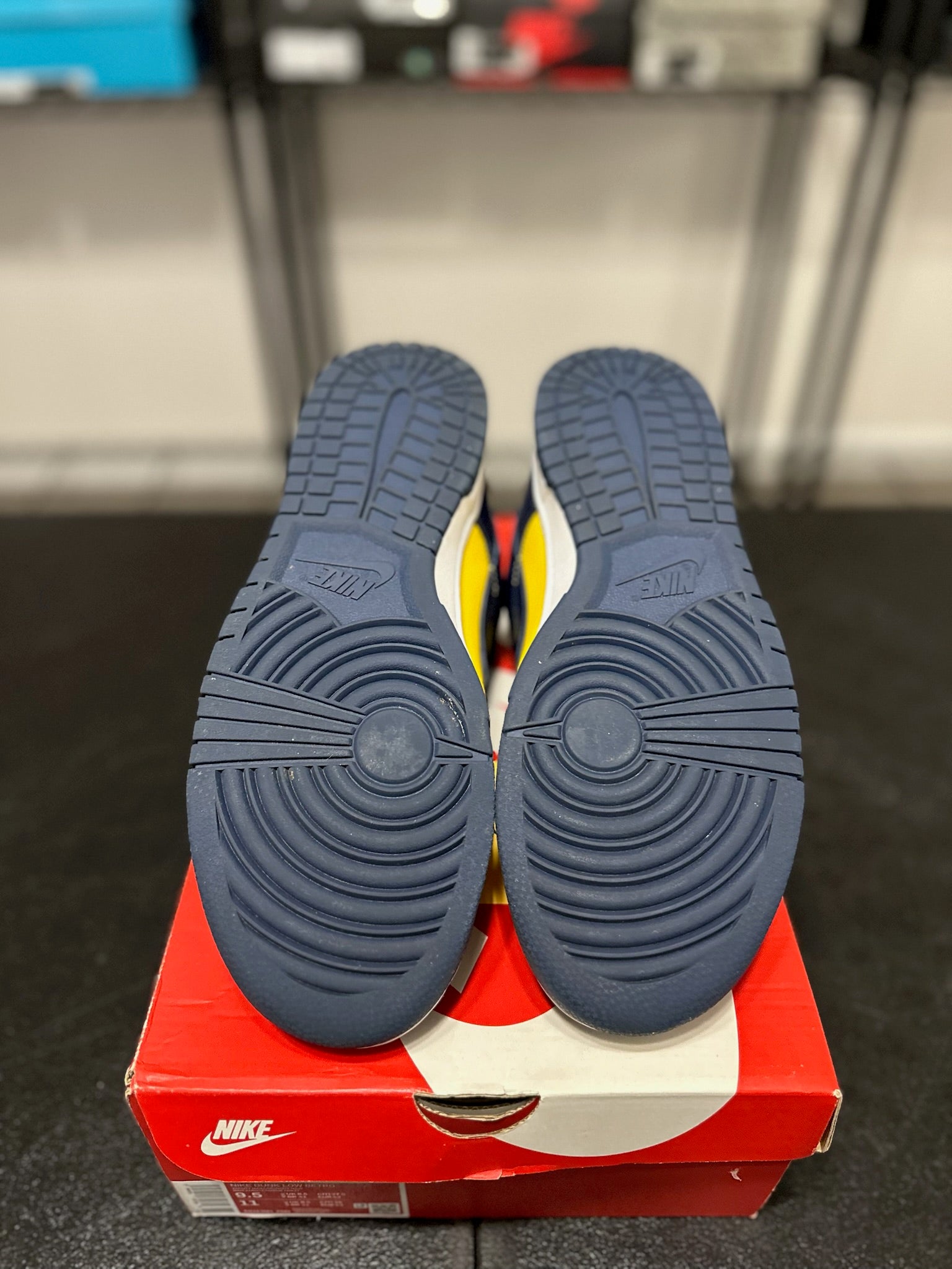 Size 9.5 - Dunk Low Michigan