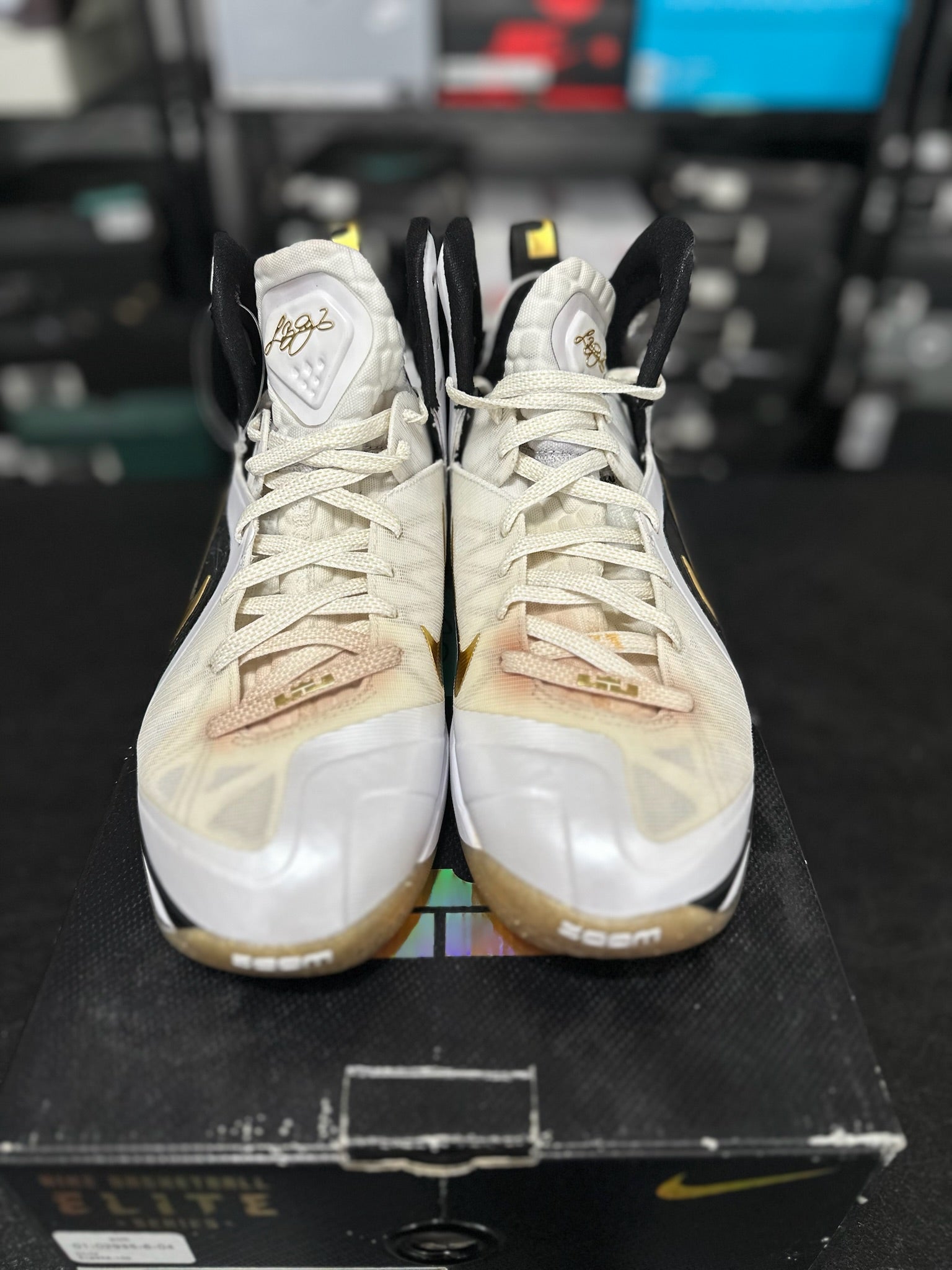Size 9 - LeBron 9 PS Elite Home
