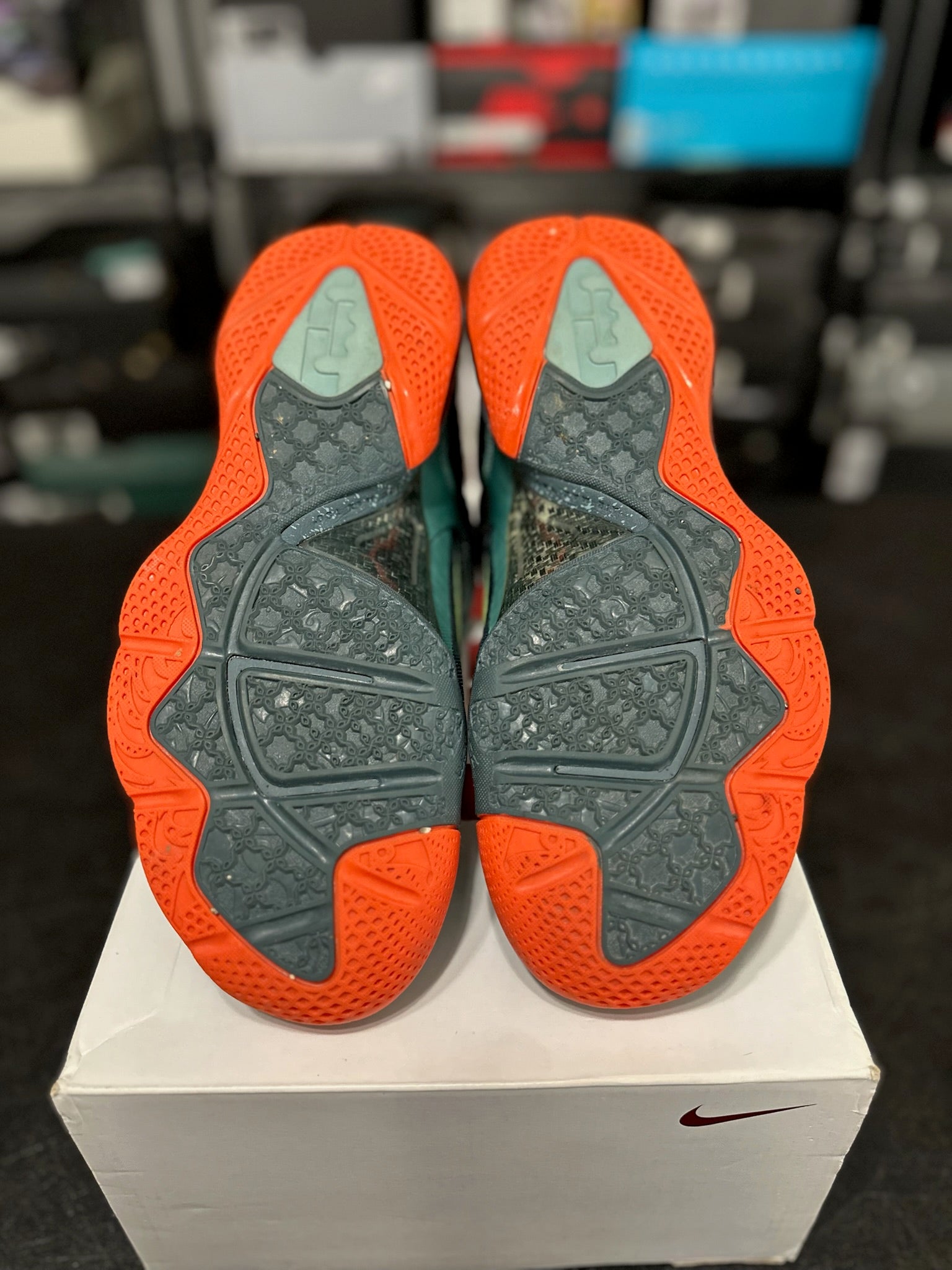 Size 9 - LeBron 9 Cannon